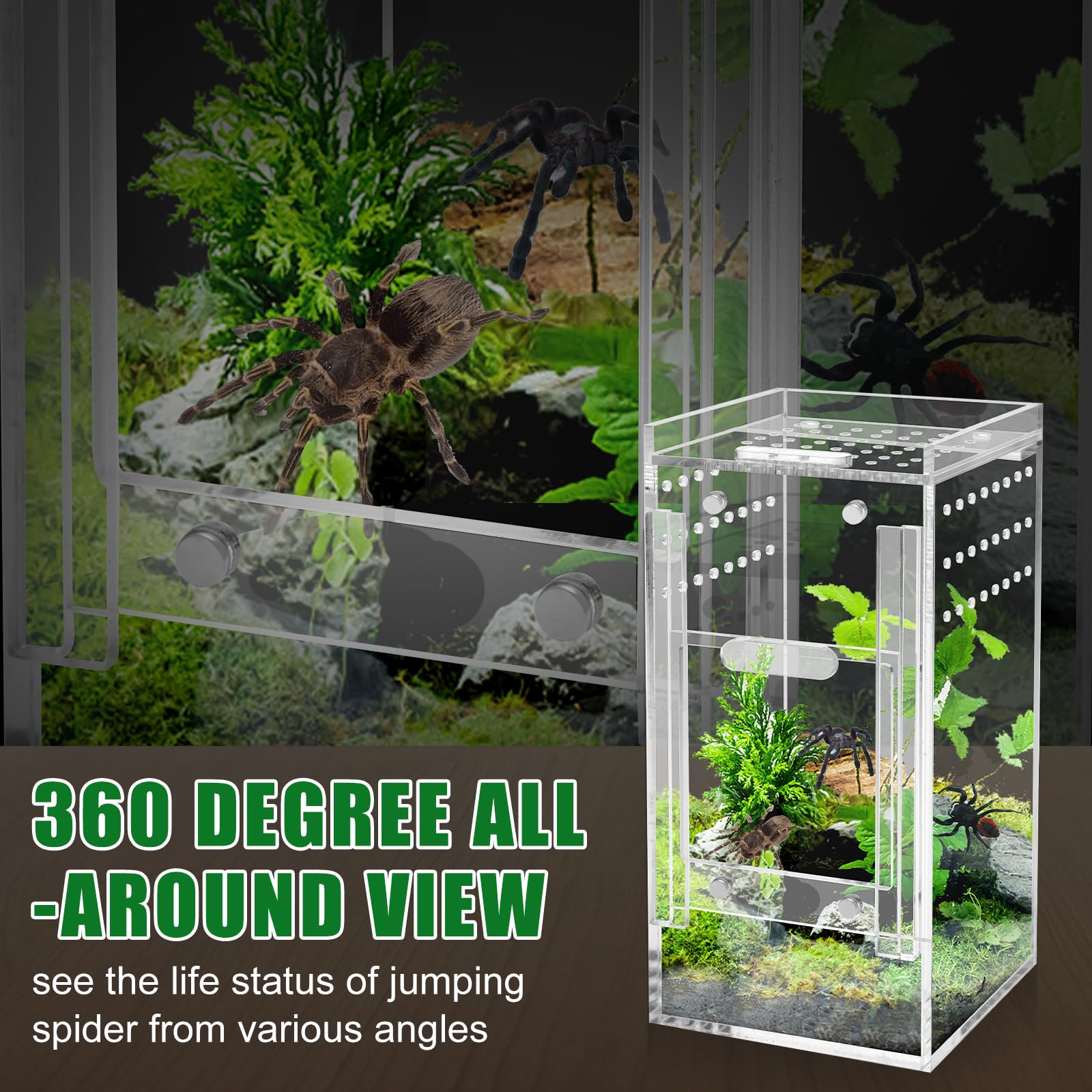 Mini Spider Enclosure, Windspeed 3X3X6 Acrylic Terrarium With Ventilation Jumping Spider Enclosure Cage Portable Micro Habitat T