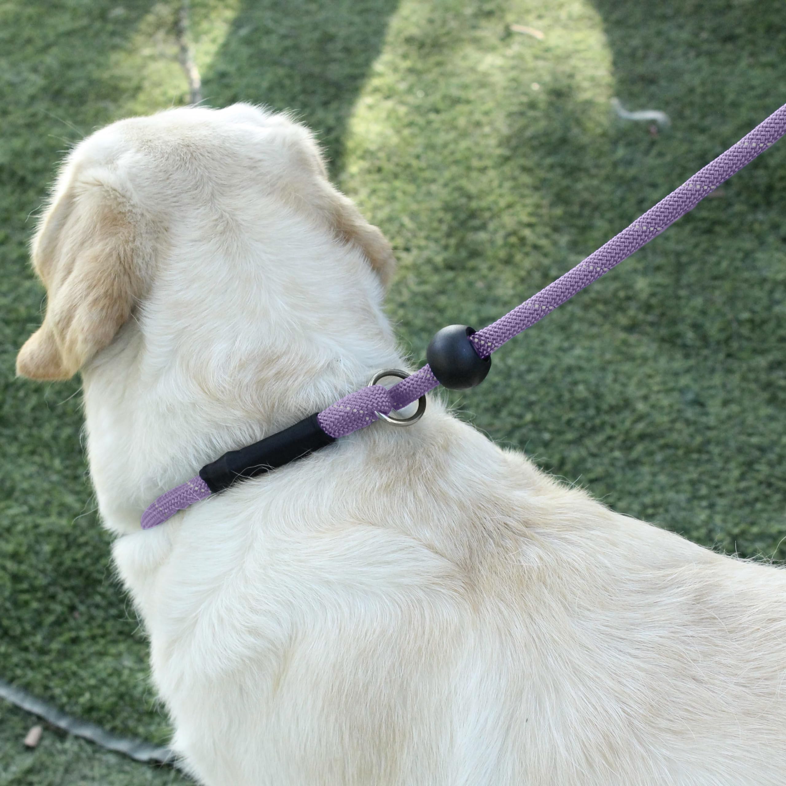 Hiado Slip Lead Dog Leash - Reflective, No Pull, 6ft, Lavender, Polyester, Model GSZ-P-Violescent-6 for Small to Large Dogs