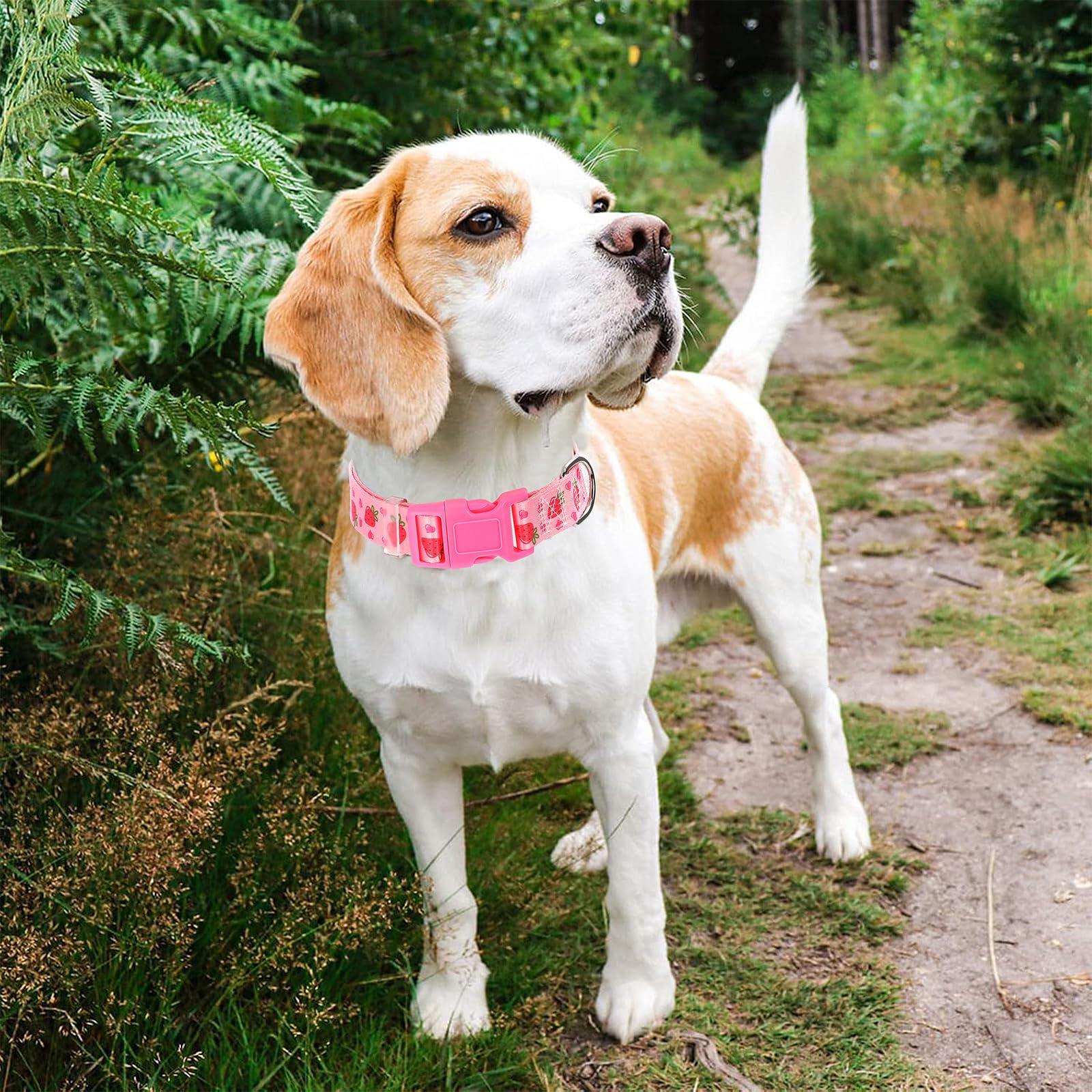 Onefojojo Dog Collar - Cute Pink Strawberry Design, Soft Nylon Adjustable Collar For Medium Dogs, Quick-Release Buckle, Durable