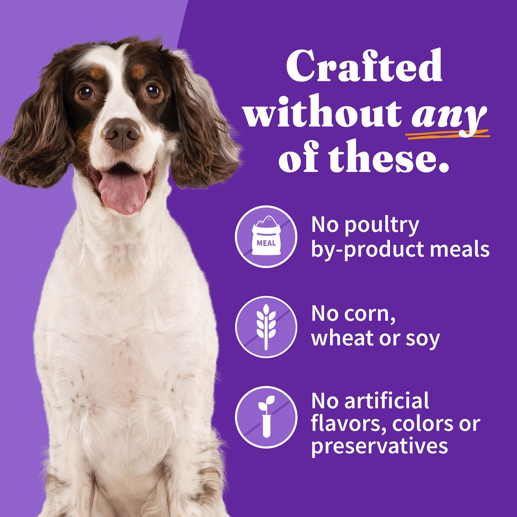 Halo Wet Dog Food Variety Pack, Three Canned Whole Meat Chicken Stew, Beef Stew, Turkey & Salmon Stew, 13.2 Oz Can (Pack of 6)