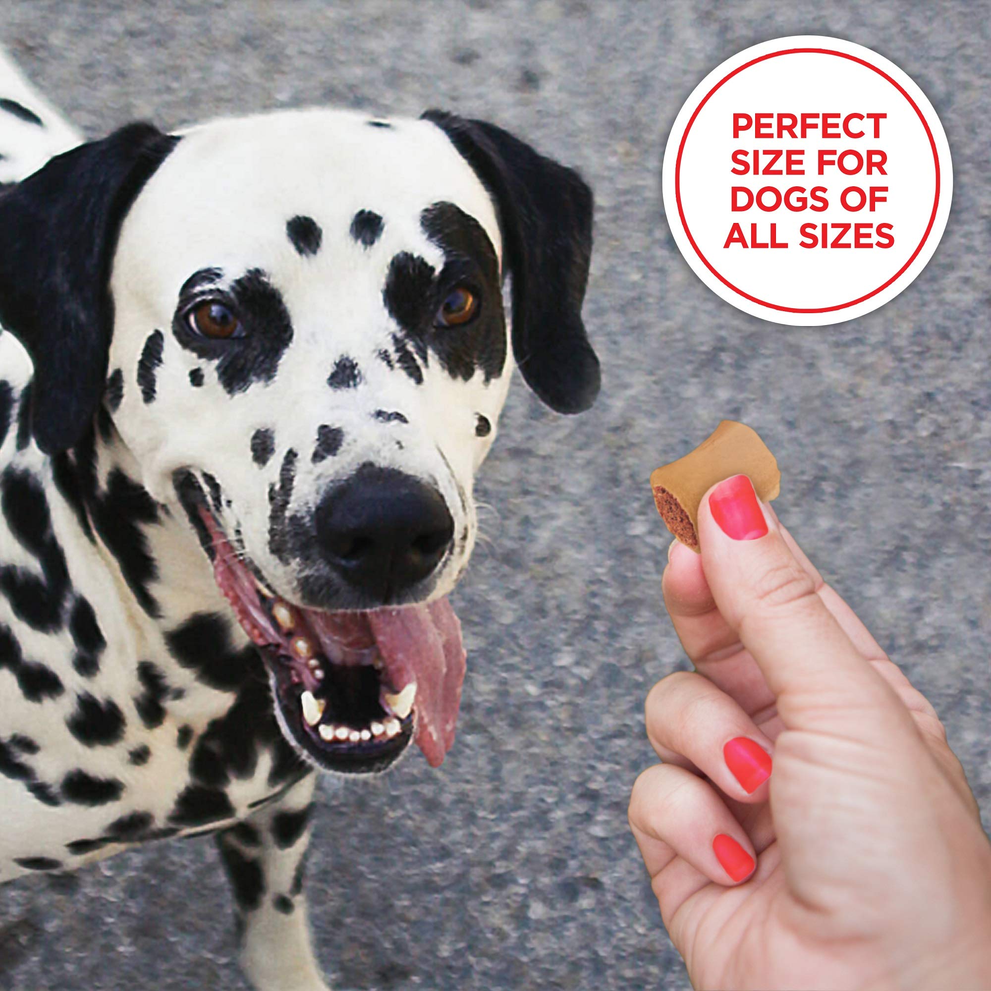 Milk-Bone MaroSnacks Dog Treats, 38 Ounce Refill Packs (Pack of 2) with Real Bone Marrow and Calcium