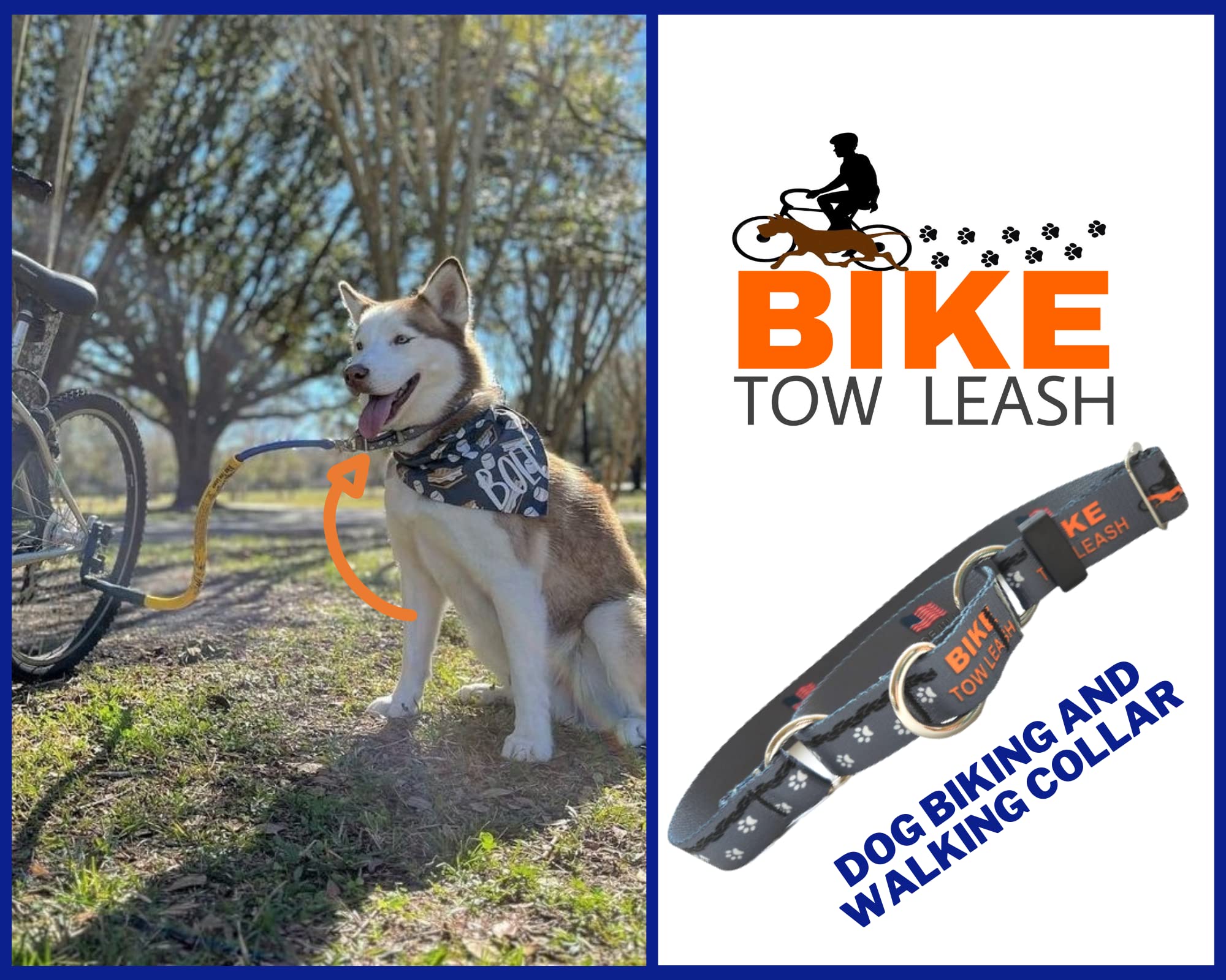 Dog Biking and Walking Collar