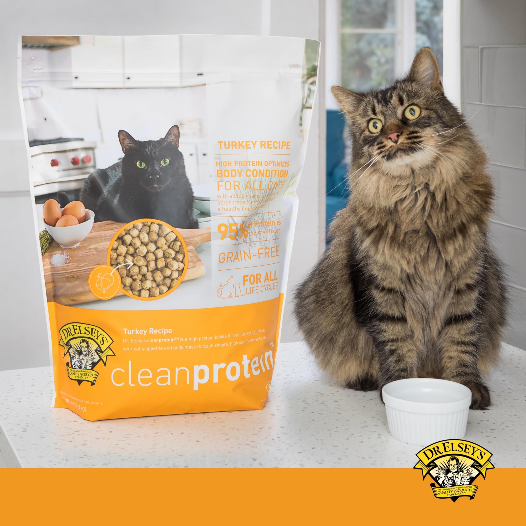 Dr. Elseys Clean Protein Turkey Dry Cat Food - Cat Kibble Dry Food for All Cats - Protein-Rich Healthy Cat Food w/Natural Ingre