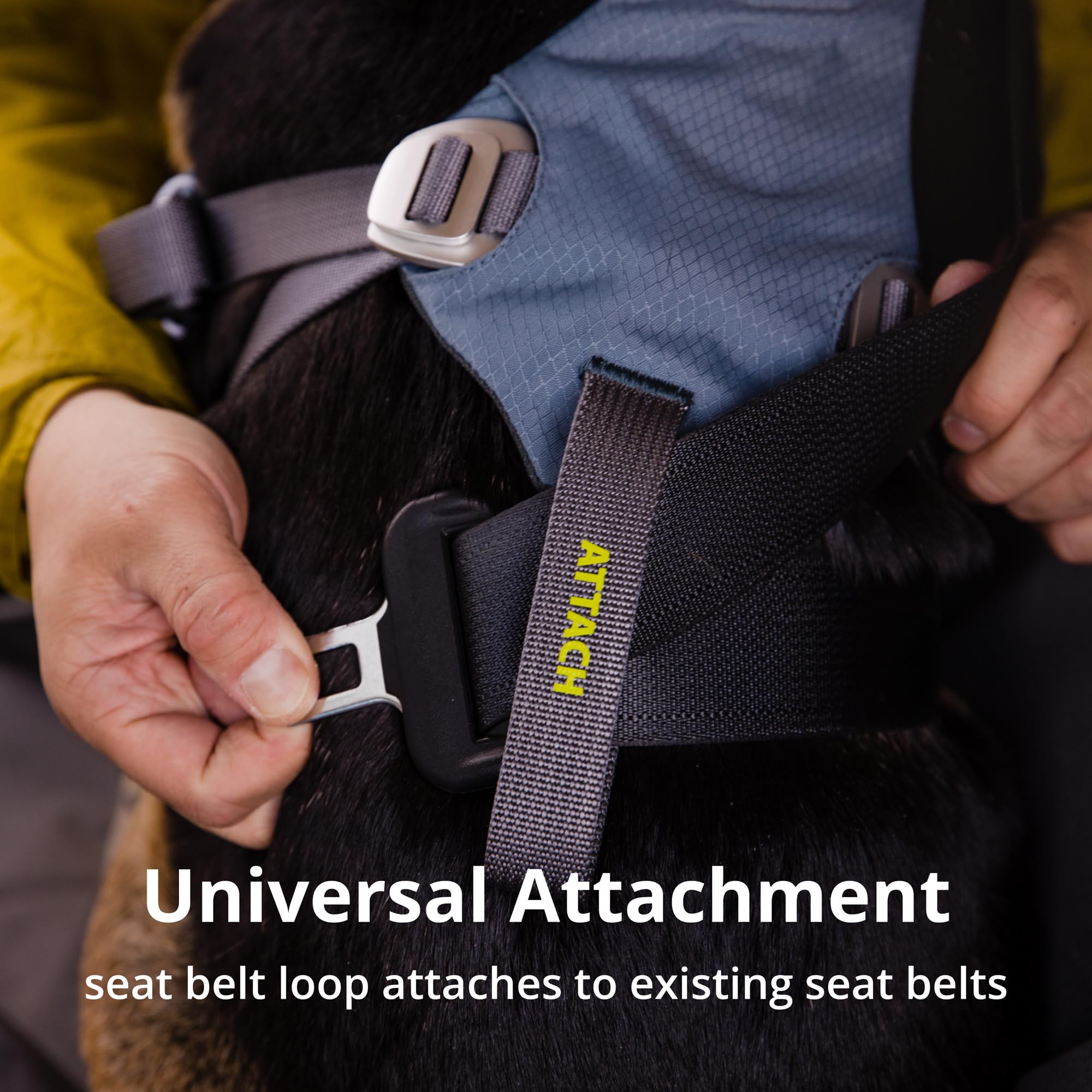 Ruffwear, Load Up Dog Harness, Strength-Rated Car Safety Harness With Universal Seat Belt Attachment, Slate Blue, Xx-Small