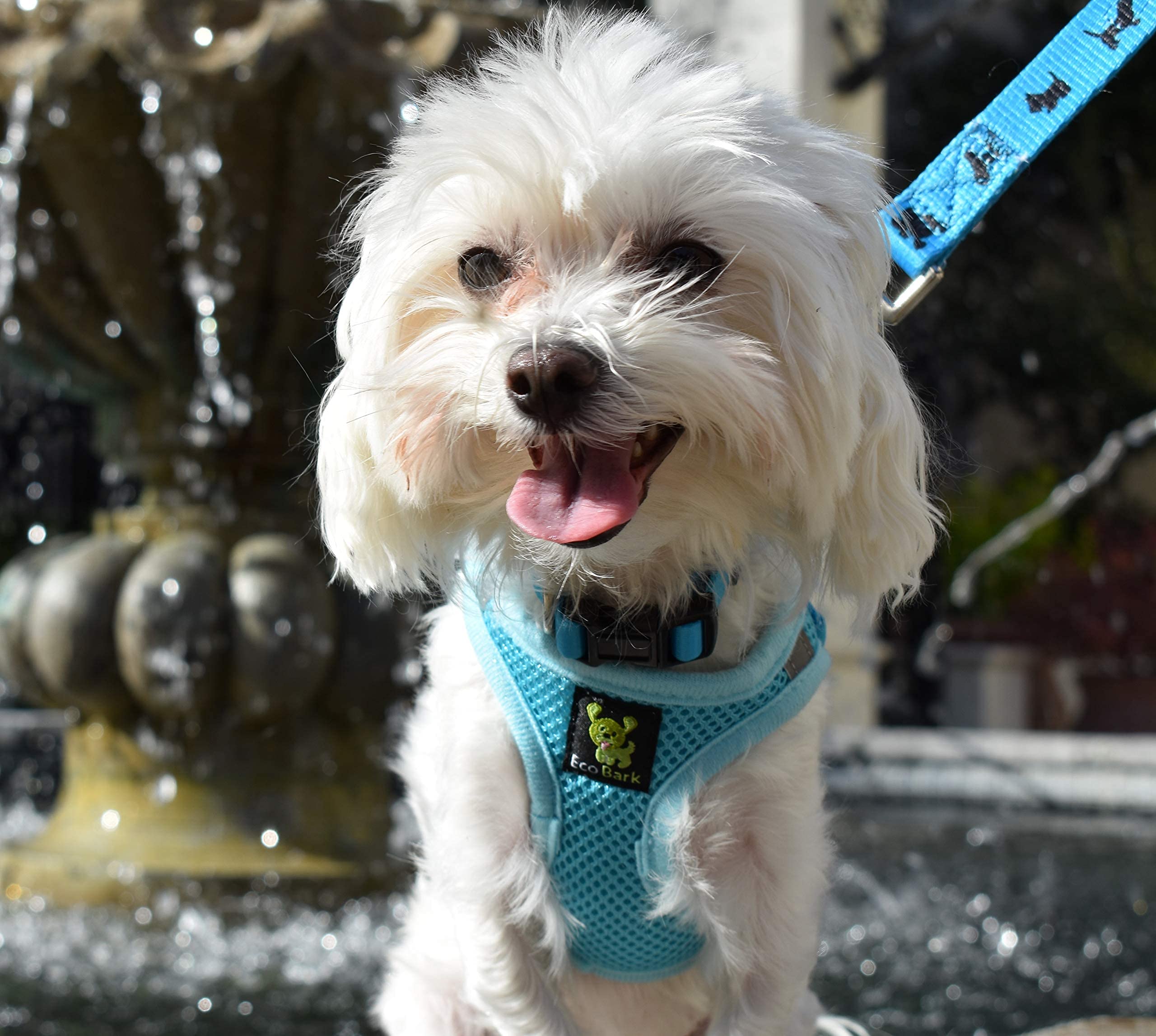 Ecobark Step In Dog Harness - Eco-Friendly Teacup Dog Harnesses For Xxs, Xs, And Small Dogs - Reflective And Adjustable Mini Bod