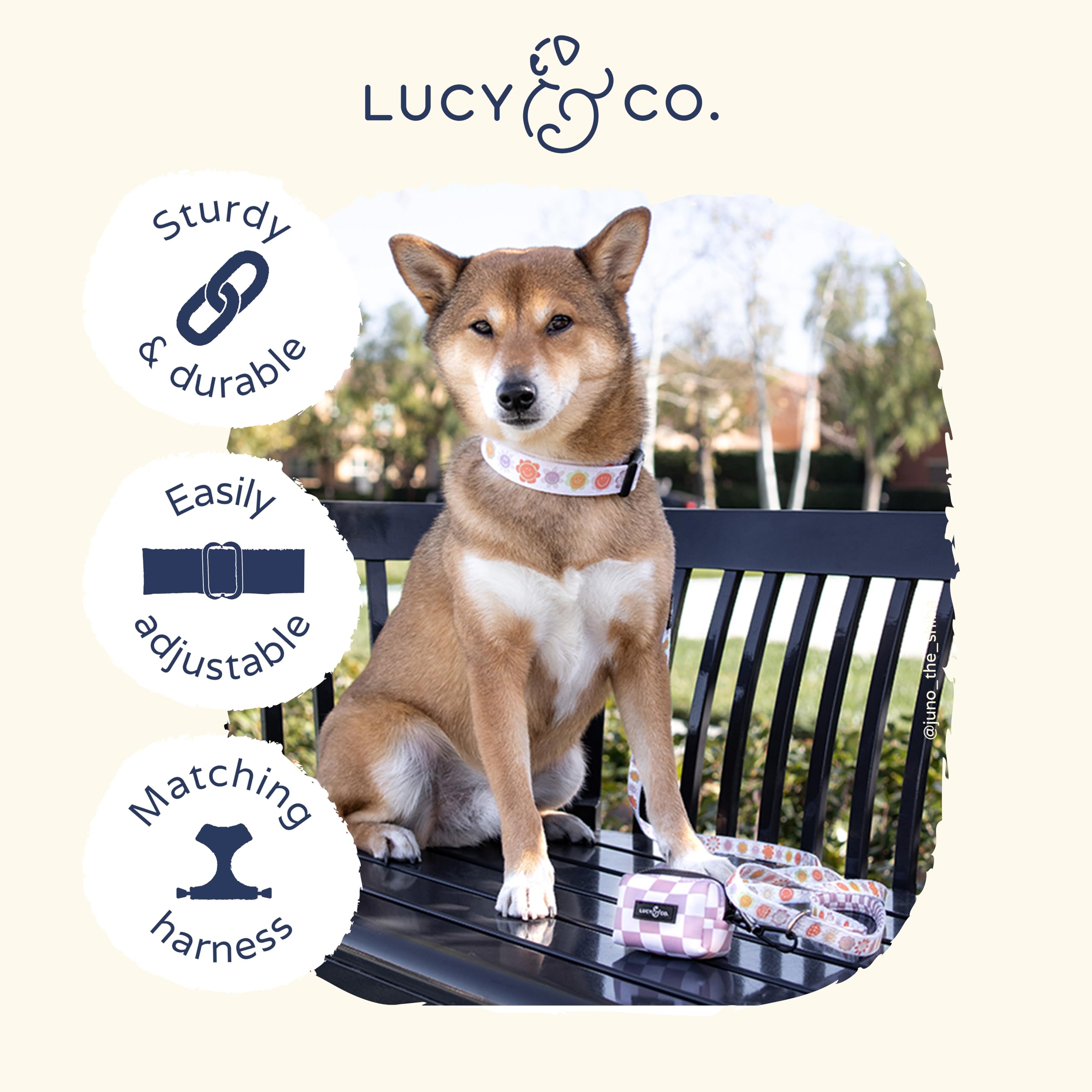 Lucy & Co. Among The Wildflowers Dog Collar - Durable Lightweight Designer Collar For Pets - Adjustable Metal Safety Buckle - Pu