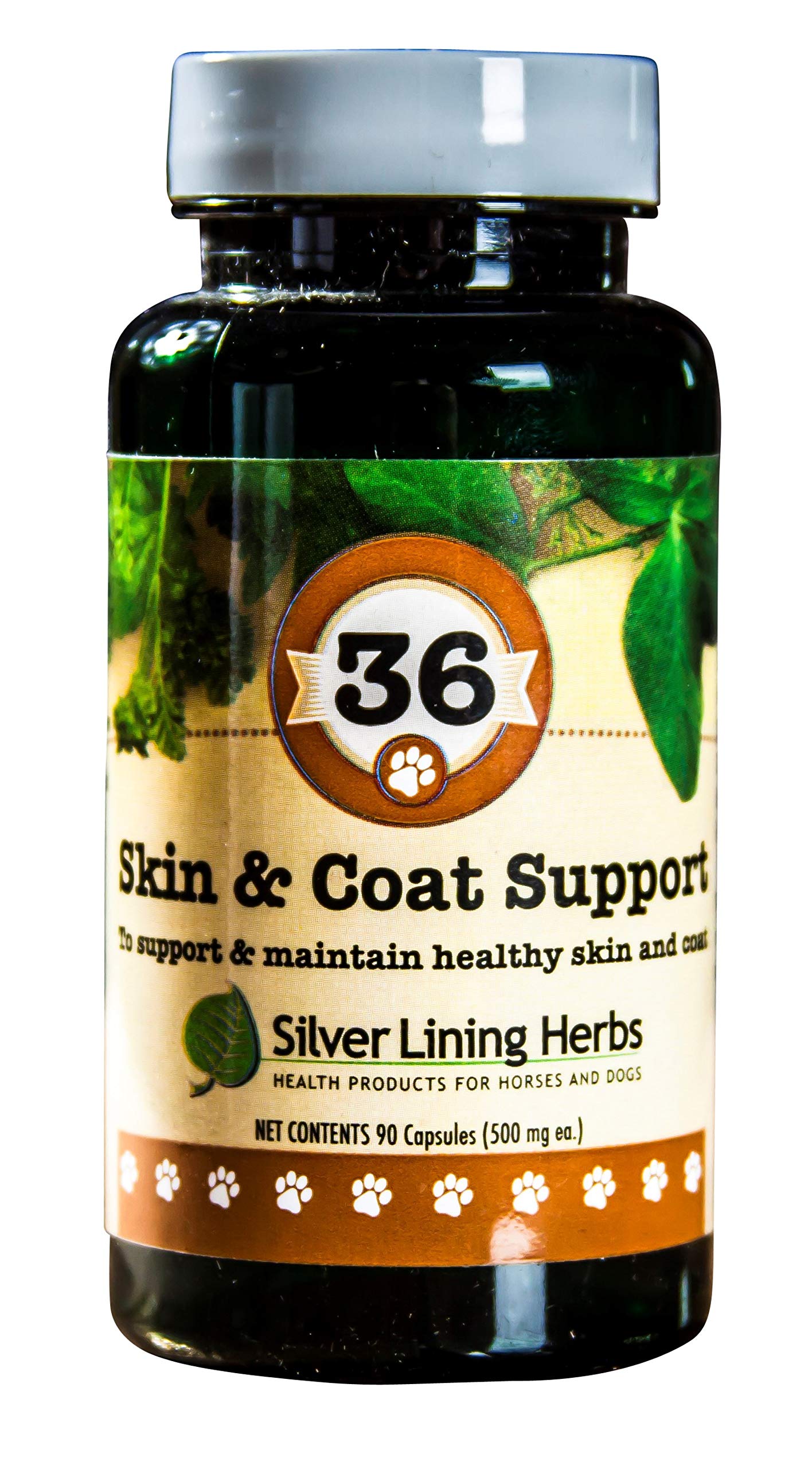#36 SKIN & COAT SUPPORT