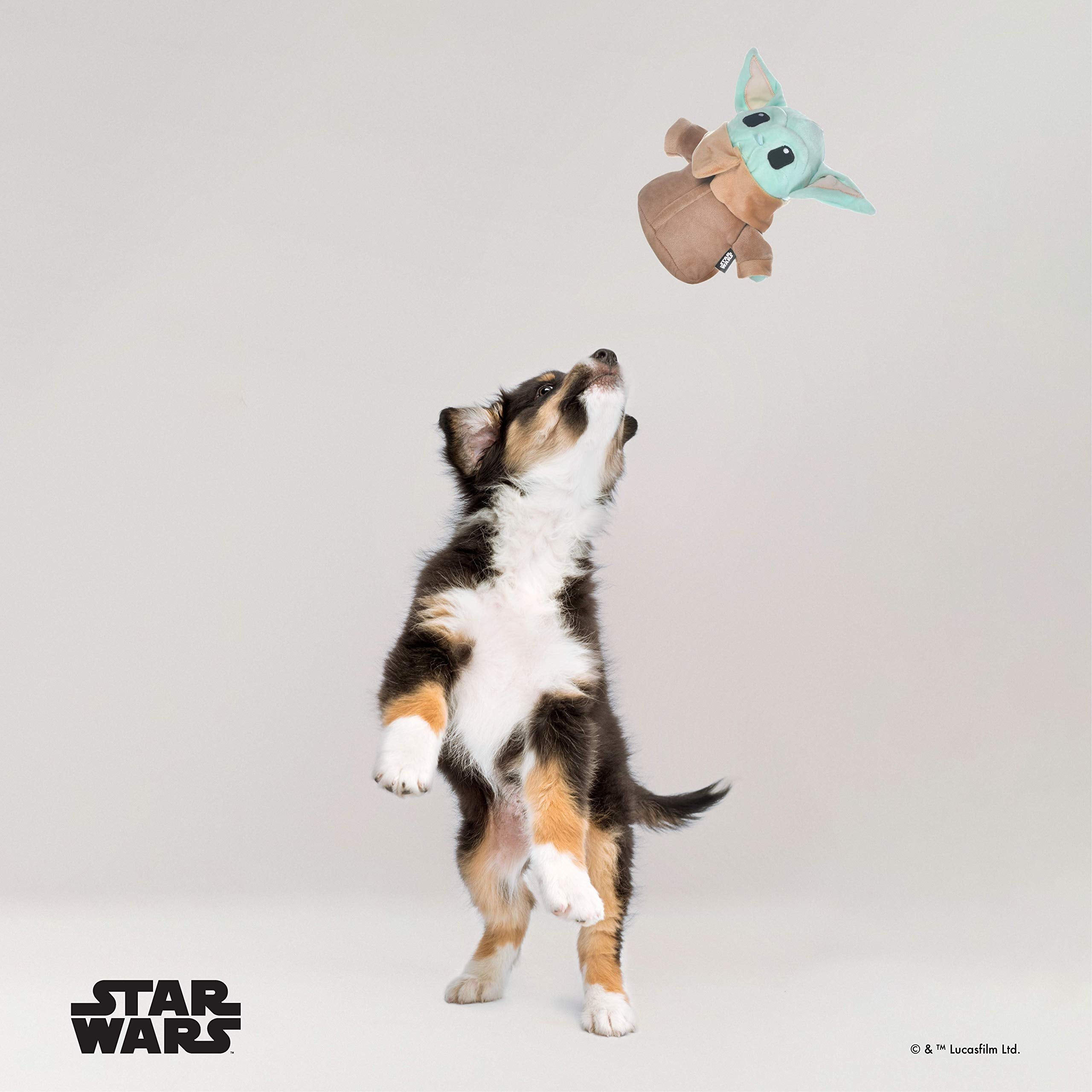 Star Wars For Pets Mandalorian The Child Plush Figure Dog Toy | 6 Inch Small Dog Toy From The Mandalorian - Soft And Plush Dog Toys, Safe Fabric Squeaky Dog Toy For All Dogs