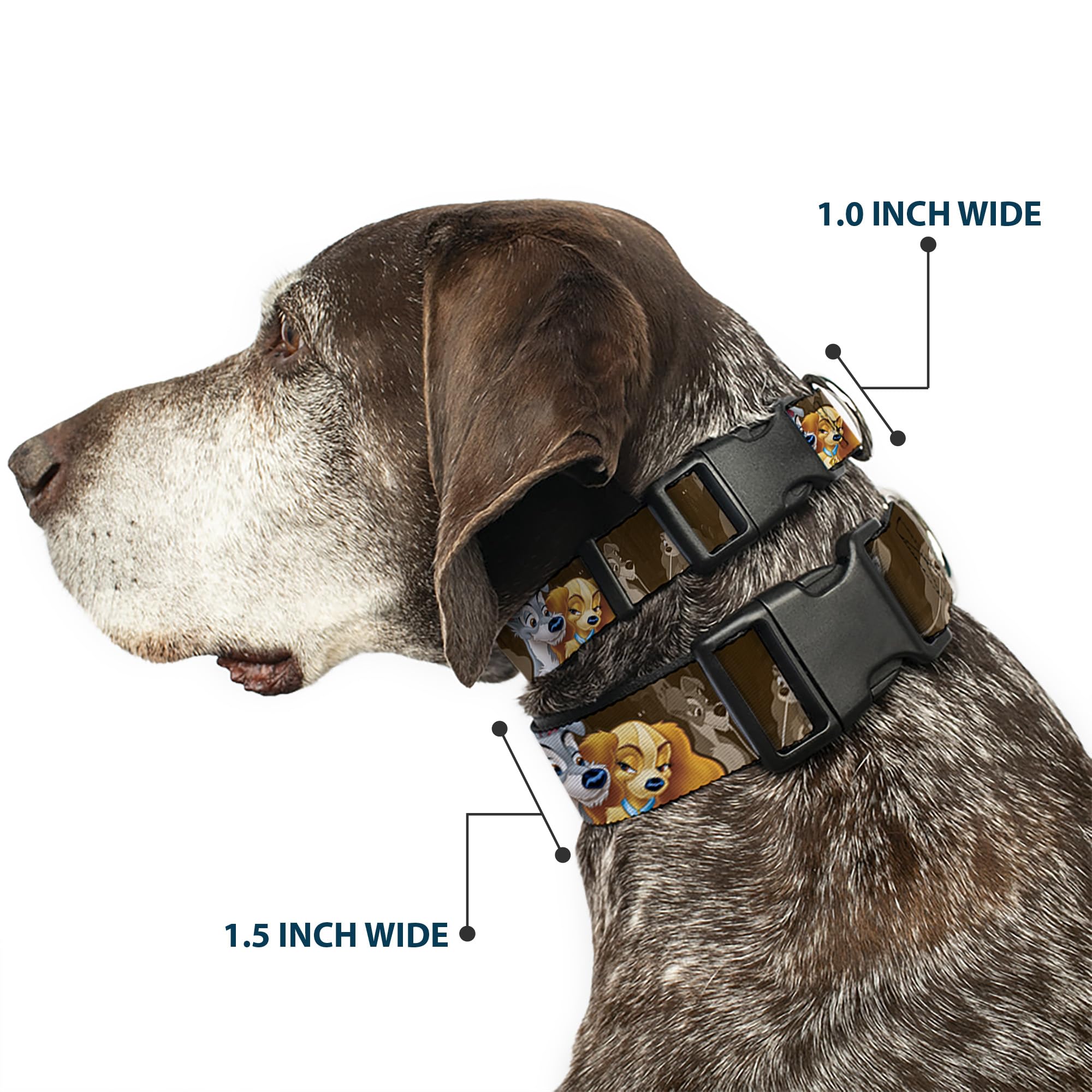Buckle-Down Pc-Wdy372-Wm Plastic Clip Collar-Lady And Tramp 2-Poses/Spaghetti Kiss Scene Browns, 1.5 W-16-23 Neck-Medium