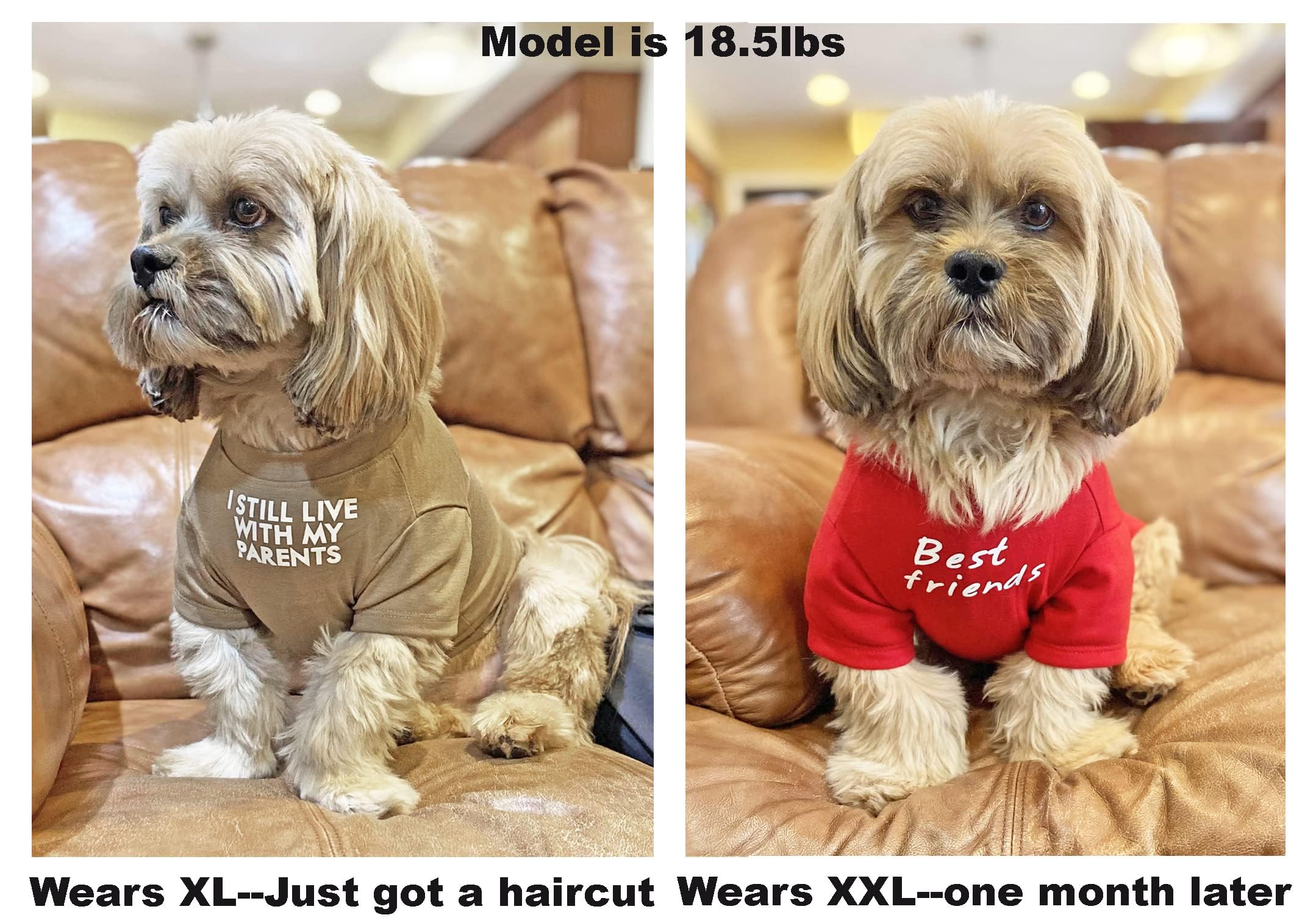 Cute Dog Clothes,Dog T Shirt For Medium Dogs.Dog Clothes For Small Dogs Girl Boy,Puppy.Breathable Soft Dog Costume For Pet Dogs