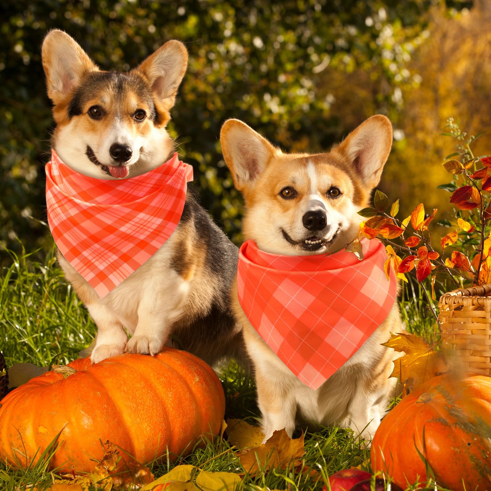 Abbylike 200 Pcs Fall Plaid Dog Bandanas Bulk Autumn Bandanas for Dogs Pets Triangle Kerchief Bibs Scarf for Fall Thanksgiving C
