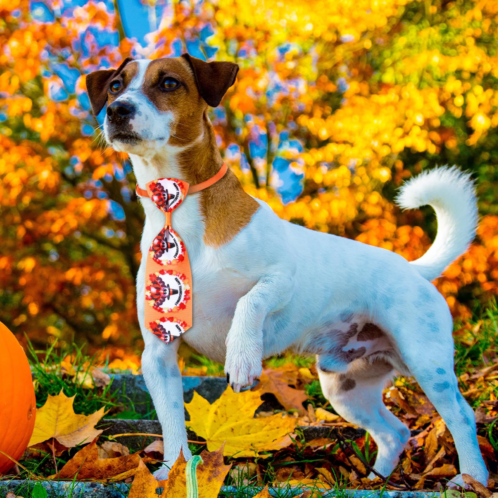 Eccliy 120 Pcs Fall Dog Bows Ties Collars Bulk For Small Large Dogs & Cats - Thanksgiving & Turkey Patterns