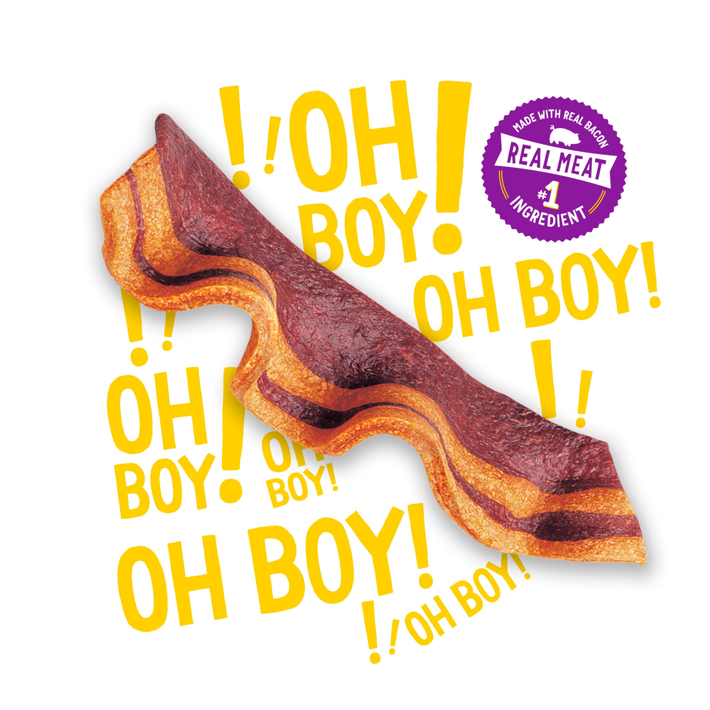 Purina Beggin Strips With Real Meat Dog Training Treats With Bacon and Cheese Flavors - 40 oz. Pouch