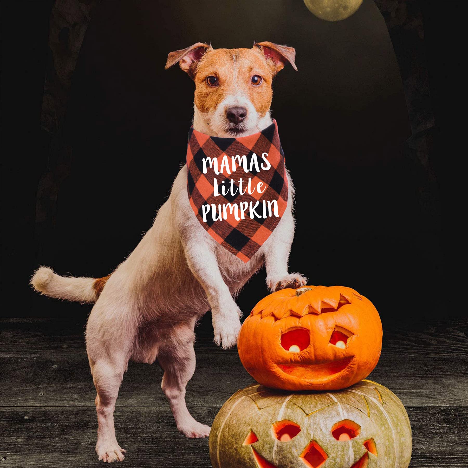 Stmk Holiday Plaid Dog Bandanas, Halloween Thanksgiving Day DaddyS Little Turkey Mamas Little Pumpkin Dog Bandana Scarf For Halloween Thanksgiving Day Dog Puppy Costume Decorations