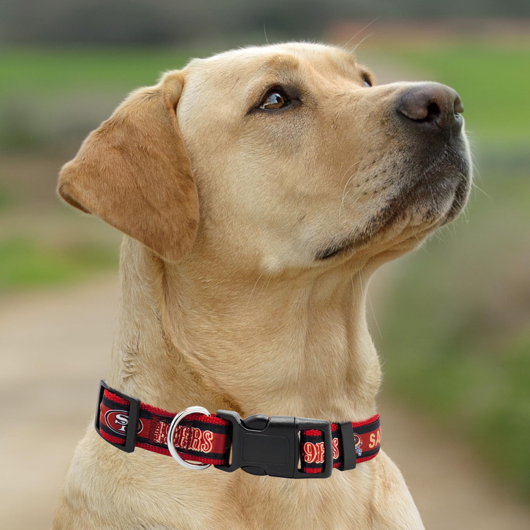 Pets First NFL San Francisco 49ers Licensed PET COLLAR, Large - Heavy-Duty, Strong, and Durable Dog Collar. Available in 31 Foot