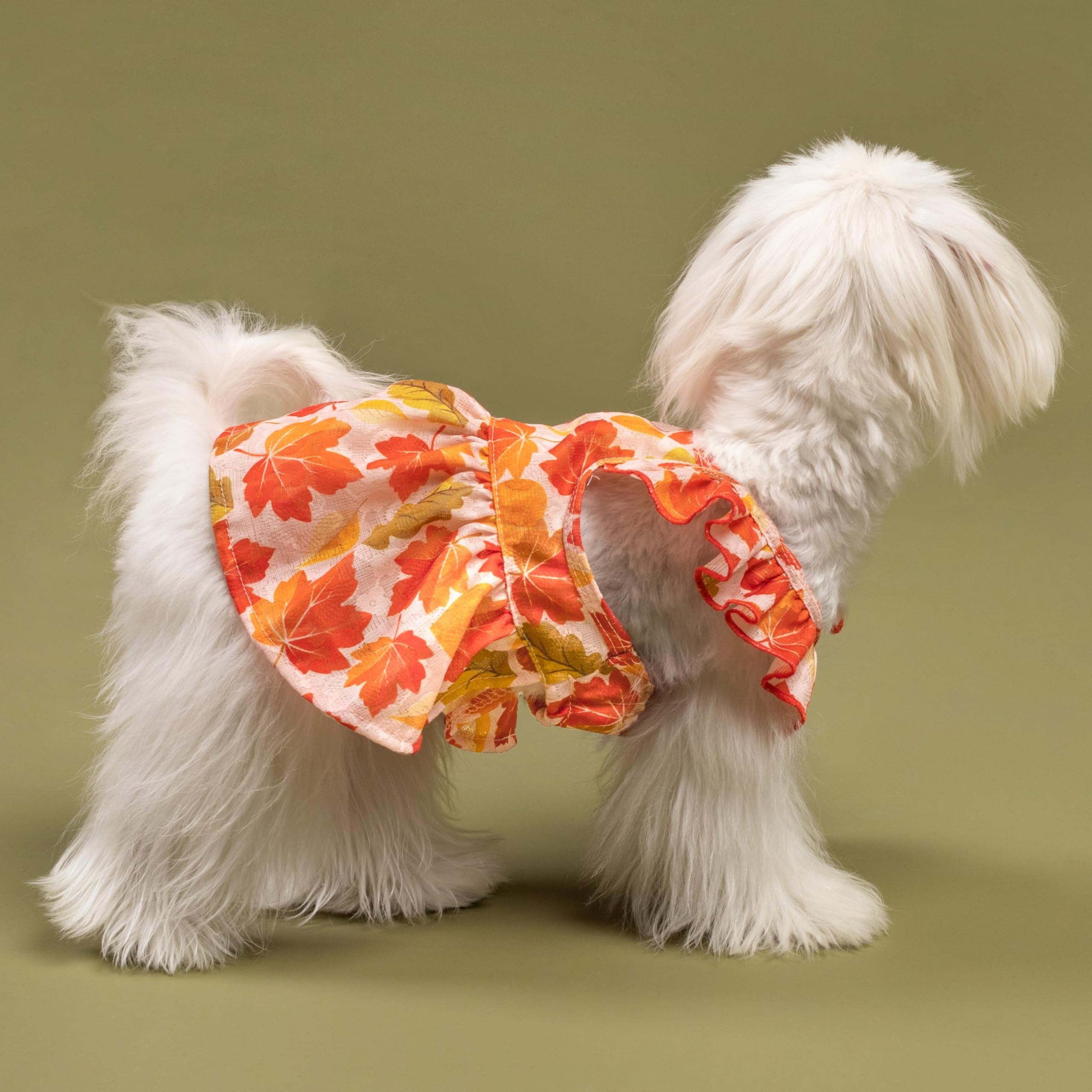 Fitwarm Maple Dog Dress, Ruffled Doggy Thanksgiving Dress, Fall Dog Clothes For Small Dogs Girl, Pet Outfit, Red, Orange, Xxs