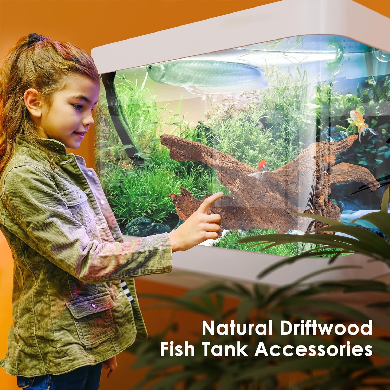 Jorewood Natural Aquarium Driftwood for Fish Tanks & Reptile Terrariums - Safe Fish Tank Decorations, Unique Twisted Branches 3-