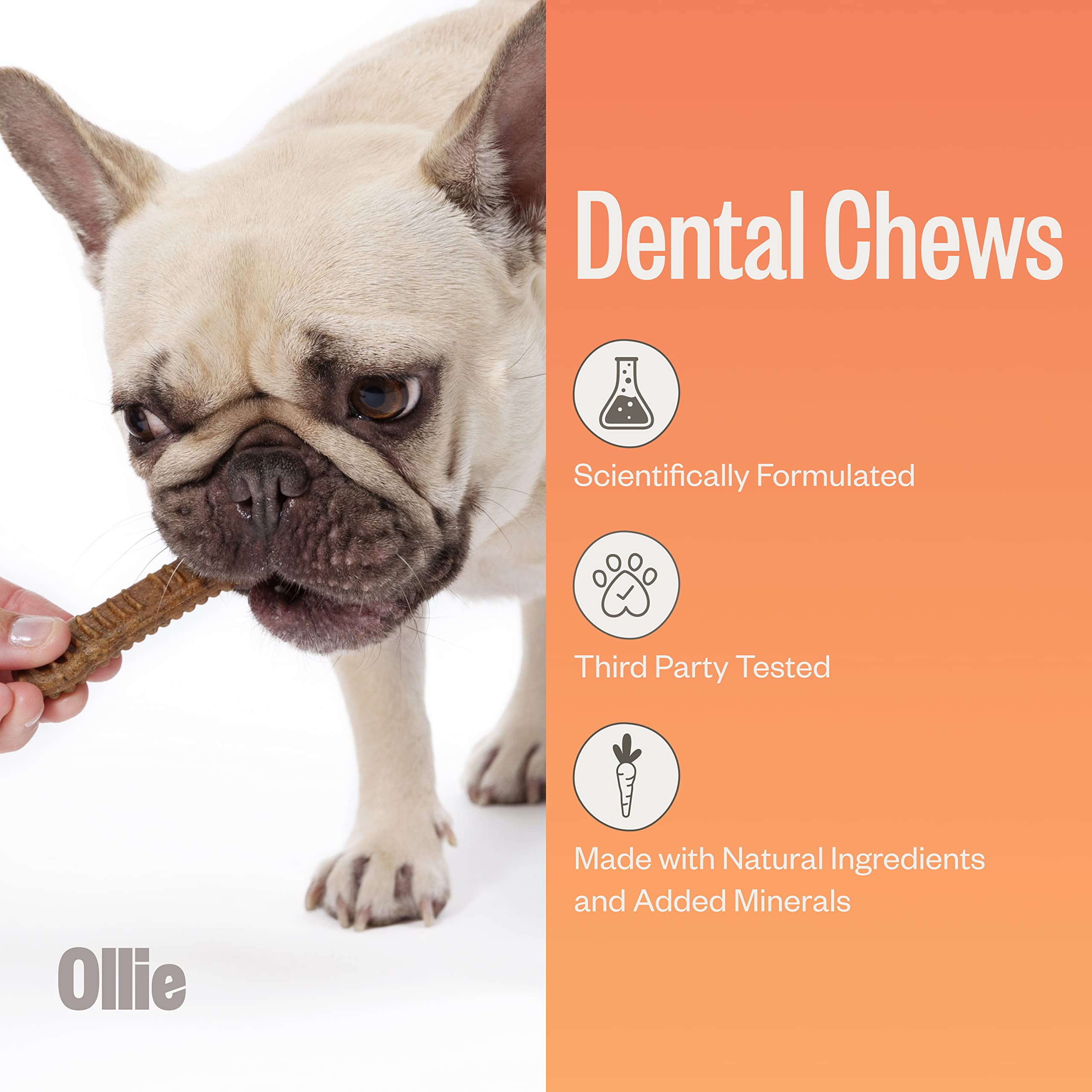 Ollie Dental Chews for Extra Small Dogs, 12 Oz, Fresh Breath, Teeth Cleaning Treats, Sticks for Dog Oral Care, with Parsley and