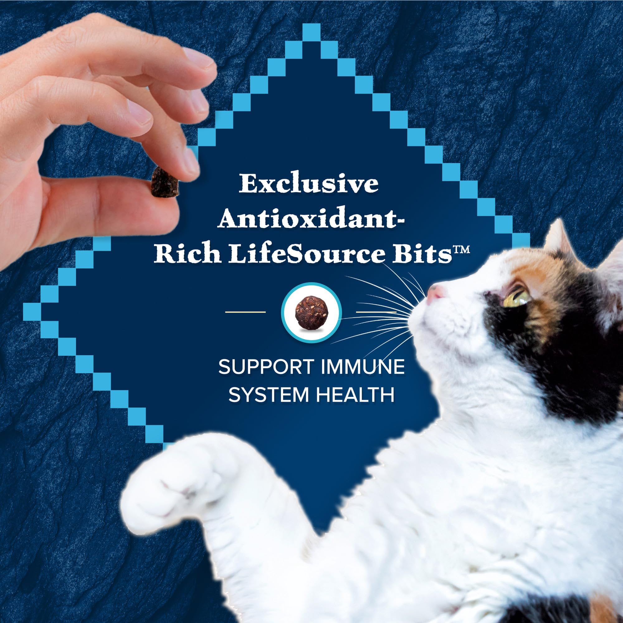 Blue Buffalo Wilderness Natures Evolutionary Diet High-Protein, Grain-Free Natural Dry Food for Adult Cats, Chicken, 6-lb. Bag