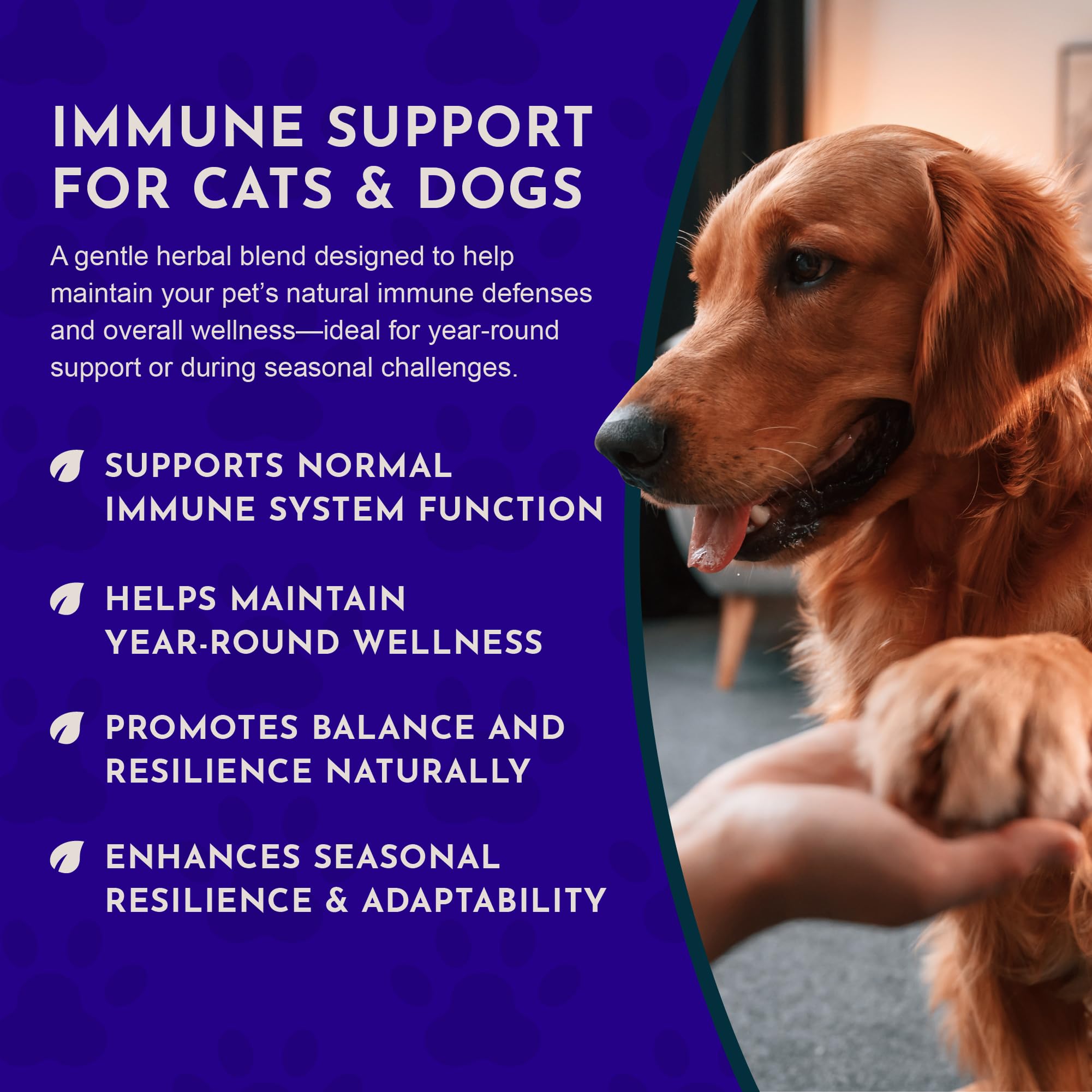 Animal Essentials Super Immune Support for Dogs & Cats, 1 fl oz - Ol Complex, Promotes Healthy Immune System