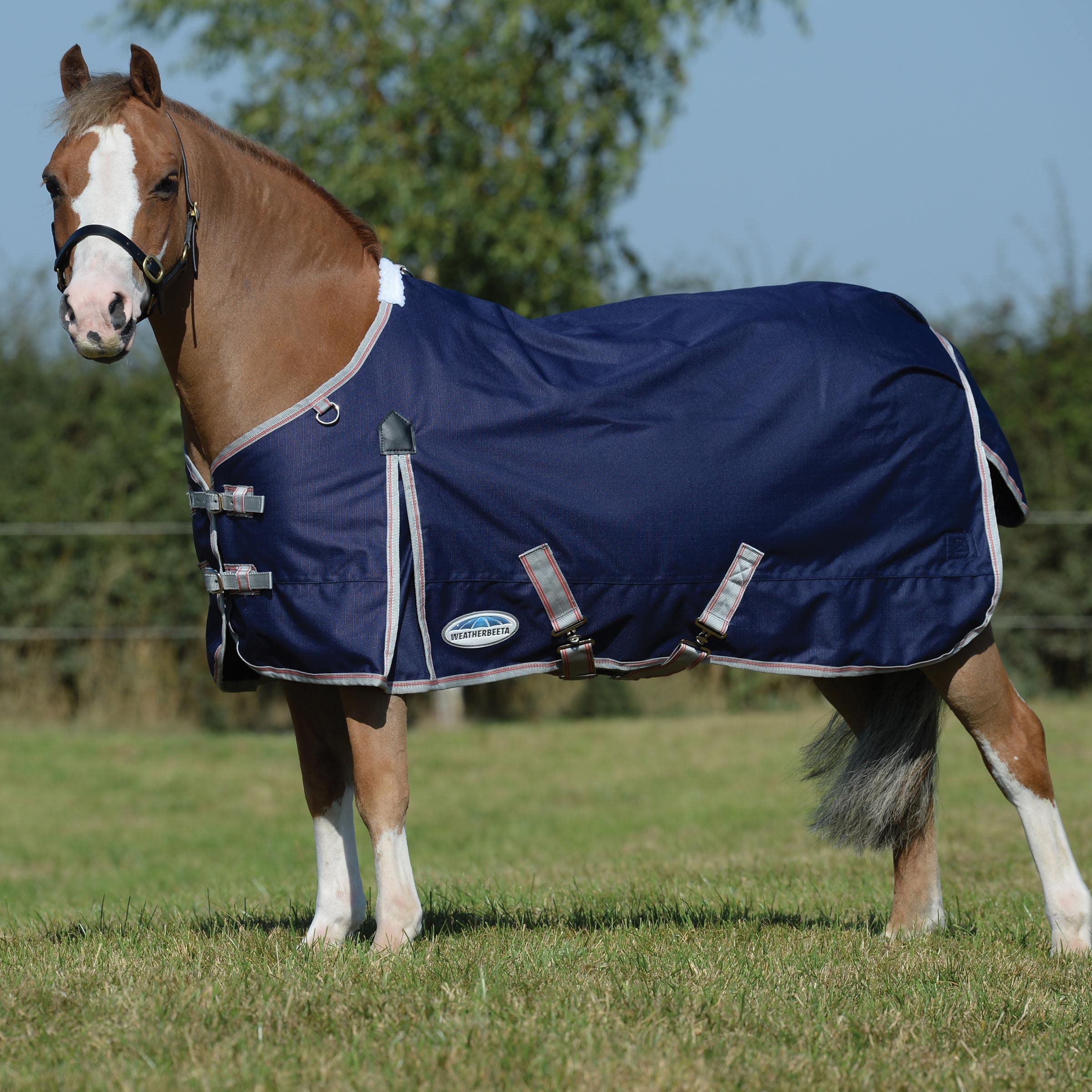 Weatherbeeta Comfitec Essential Standard Neck Lite, Navy/Silver/Red, 81''