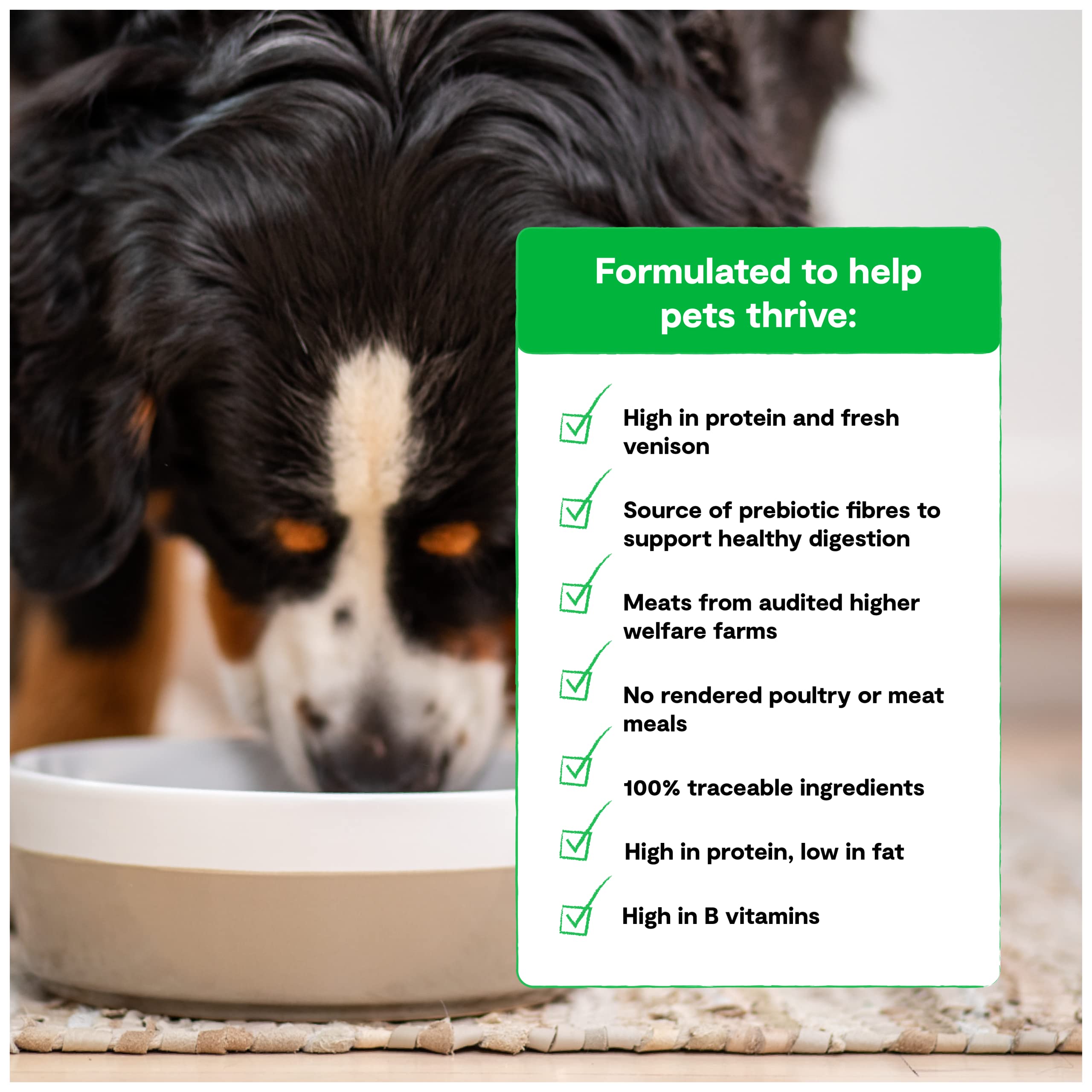 Open Farm Grain-Free Dry Dog Food with Ethically Sourced Ingredients, Non-GMO Veggies & Superfoods to Support Overall Health, Ne