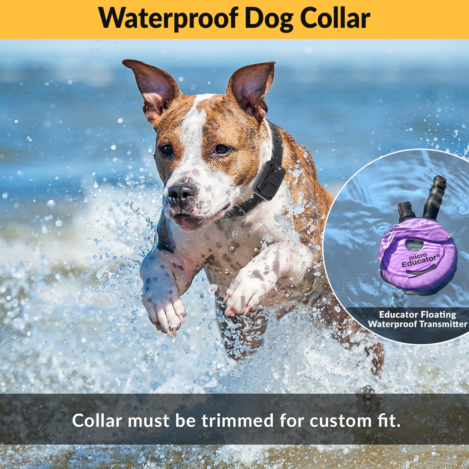 Educator E-Collar Humane Dog Training Collar With Remote, 100 Safe Tapping Stimulation Levels, Night Light, Waterproof, Recharge