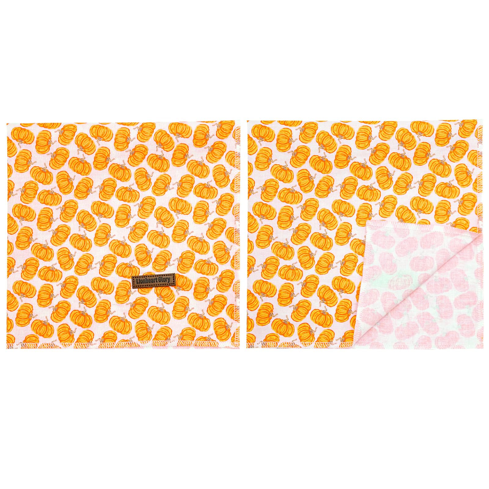 Lionheart Glory Fall Square Dog Scarf - Adjustable, Washable Soft Bandana For Medium Large Dogs (Halloween Pumpkin Theme, 1 Pack