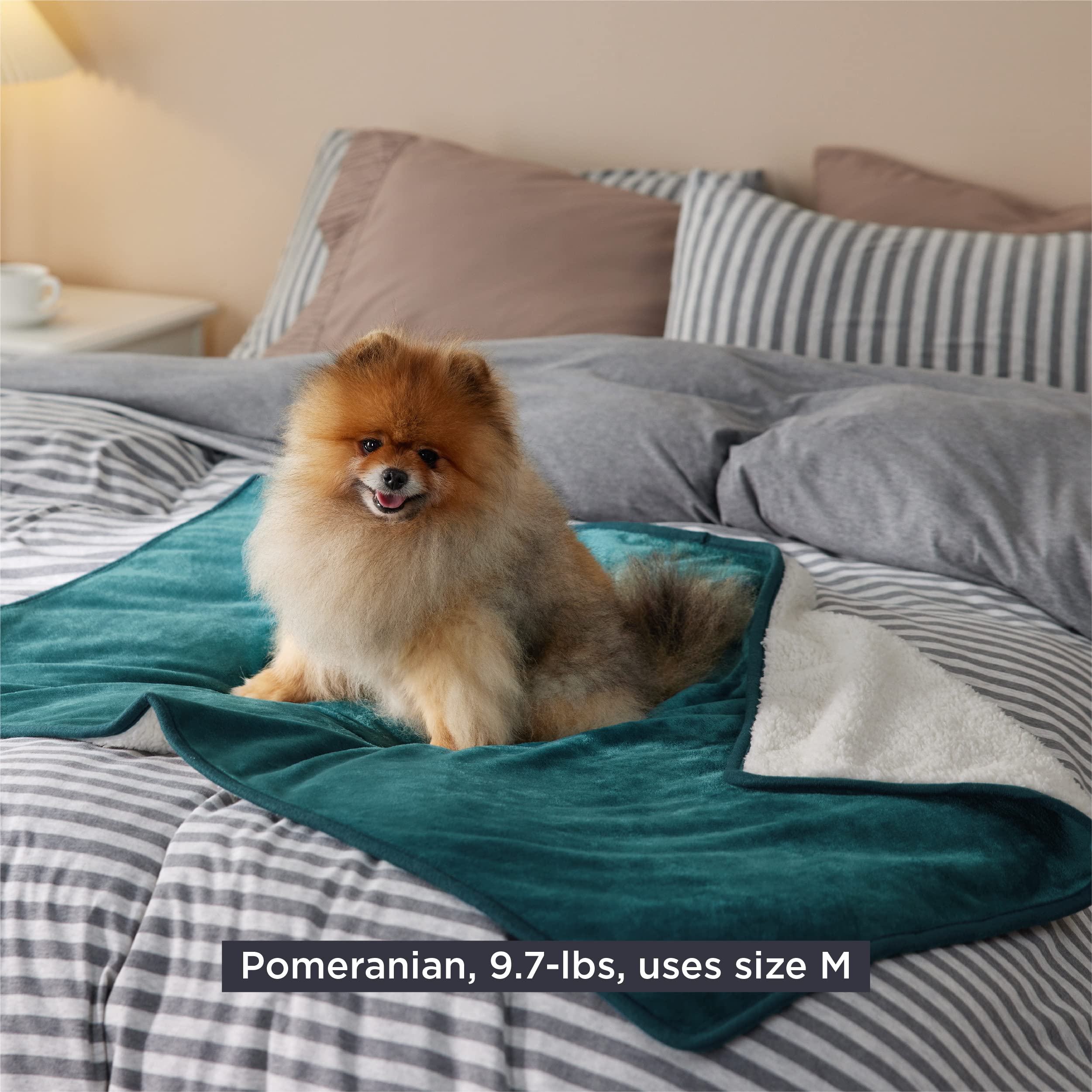 Bedsure Cat Blanket For Indoor Cats - Waterproof Calming Cat Blankets For Couch Protection, Sherpa Fleece Pet Blanket, Soft Plush Reversible Throw Furniture Protector, 40'X30', Green