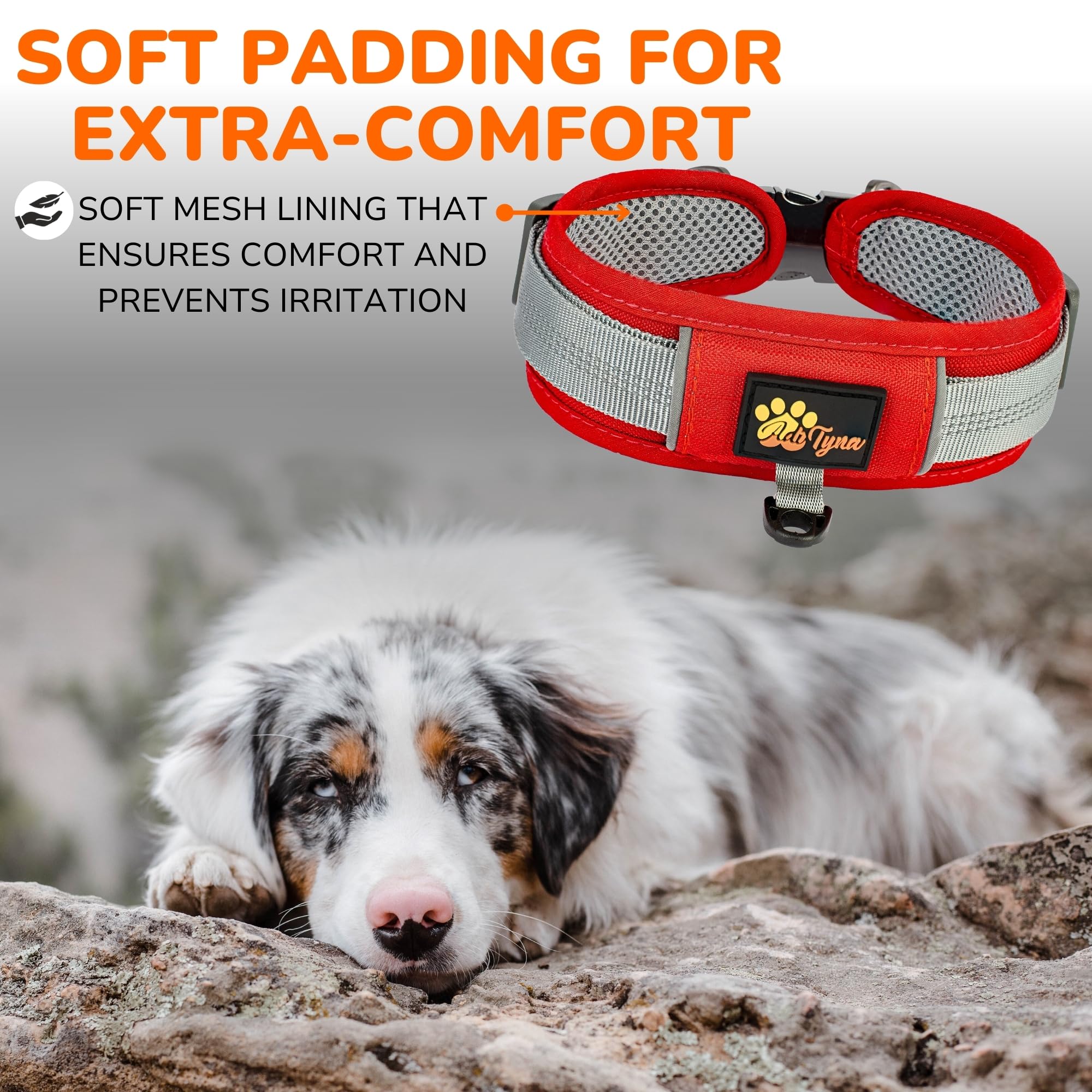 Durable 2-Inch Adjustable Dog Collar For Medium Dogs - Reflective, Heavy-Duty Metal Buckle, Comfortable Mesh Lining, Includes Pa