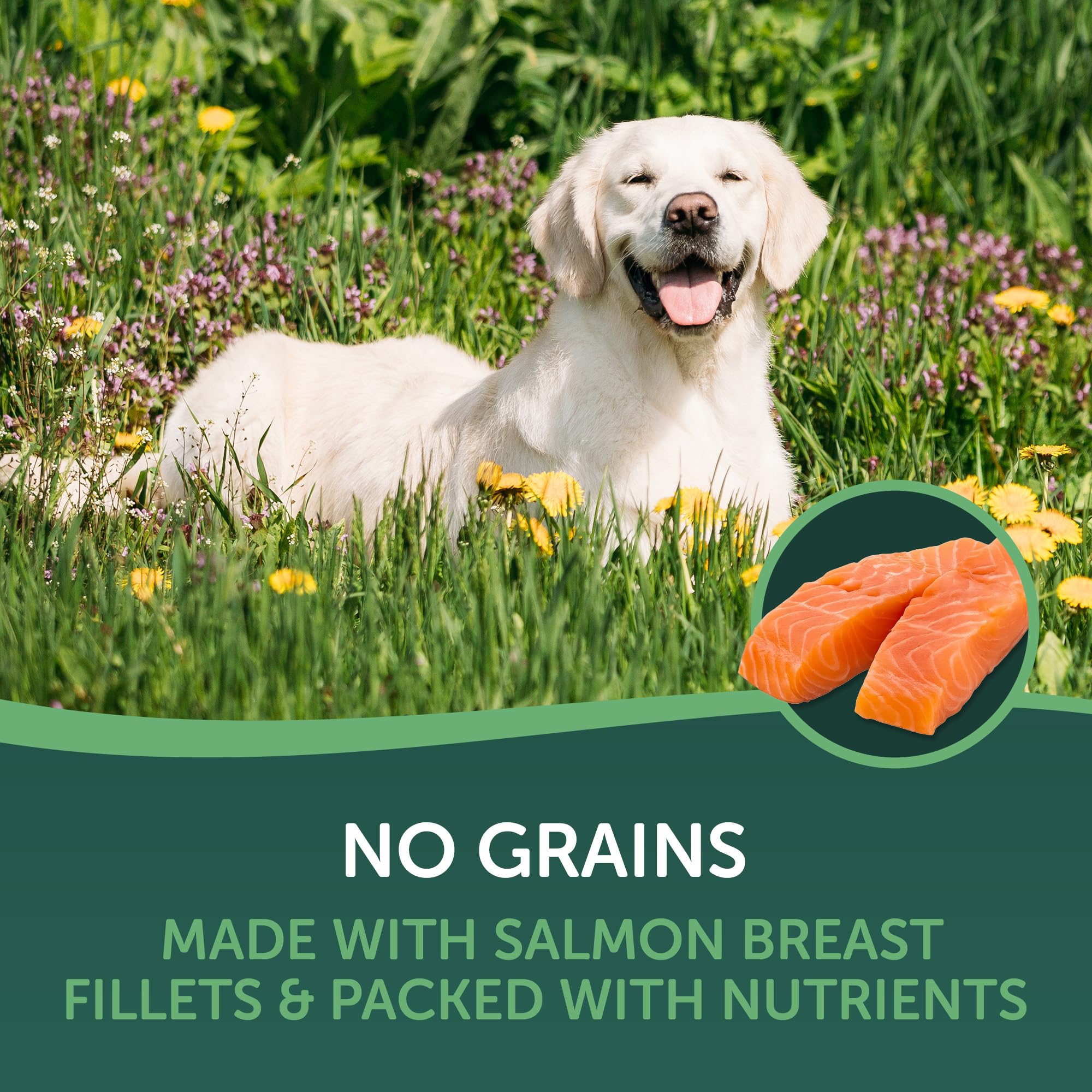 HEALTHFULS Salmon Fillet Dog Treats, 3.5oz - Natural Salmon Flavor, Model 8355