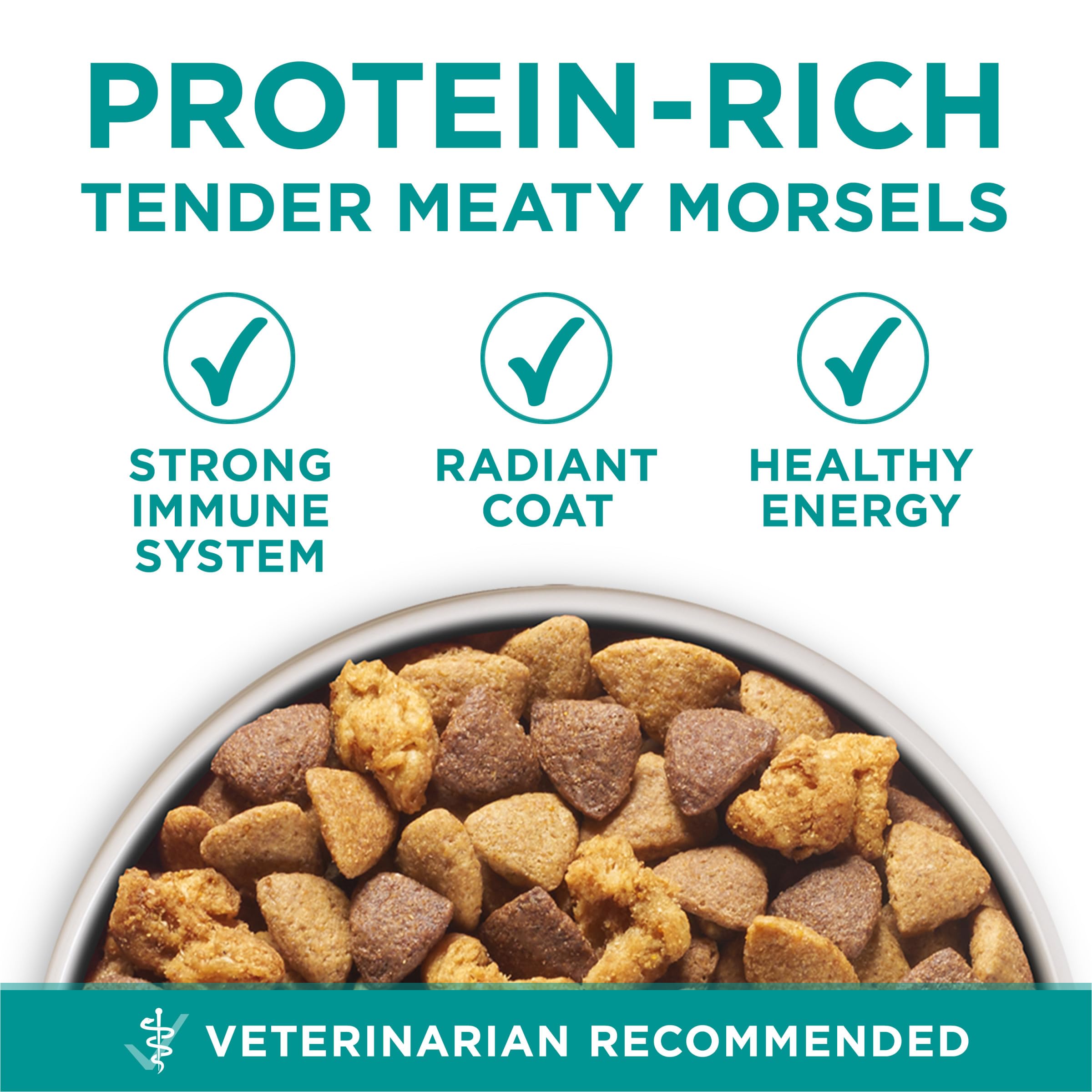 Purina One Plus Digestive Health Formula Dry Dog Food Natural with Added Vitamins, Minerals and Nutrients - (Pack of 4) 8 lb. Ba