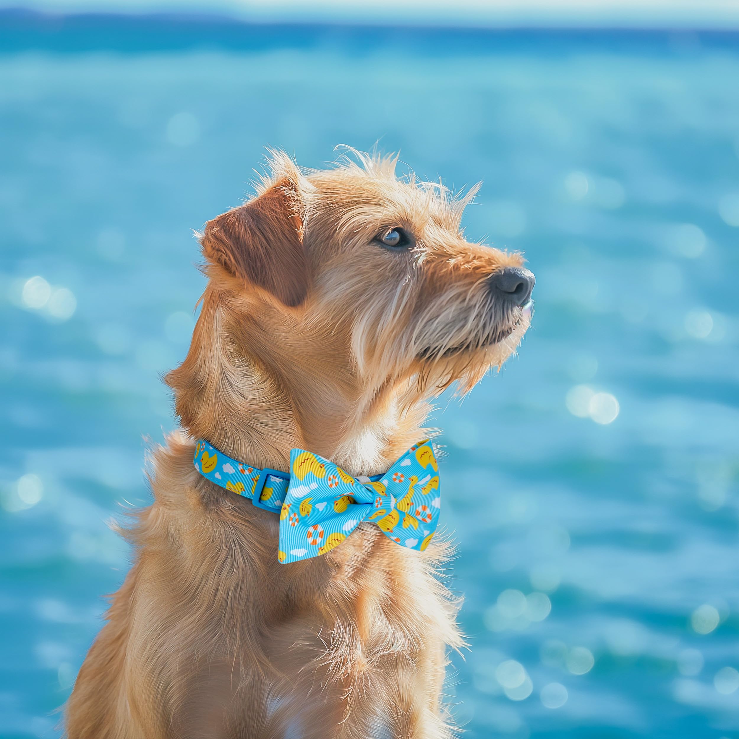 Azuza Dog Collar With Bow Tie, Soft And Comfortable Adjustable Bowtie Dog Collar For Puppy And Small Dogs (Xs, Yellow Duck)