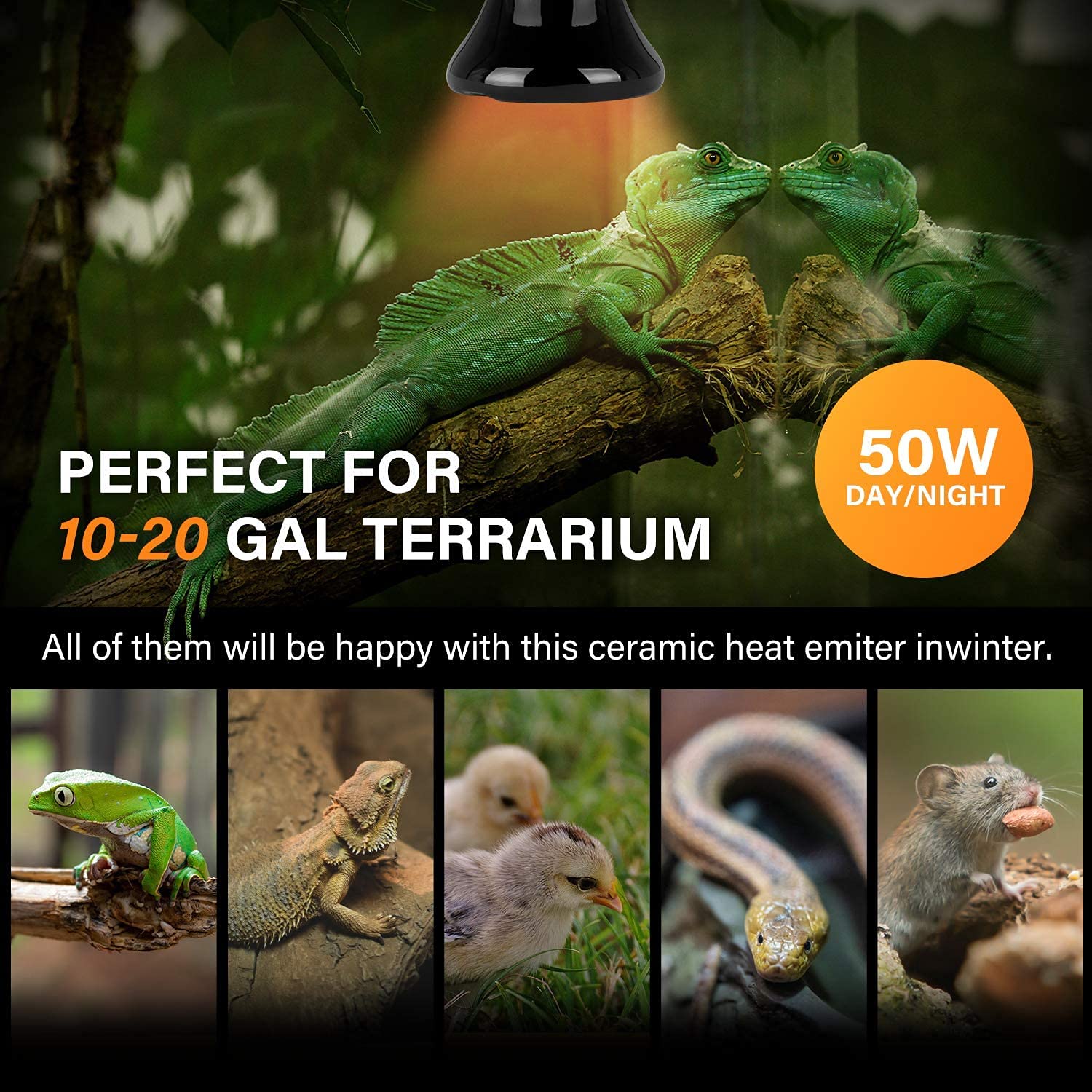Simple Deluxe 50W (Mini) Ceramic Heat Emitter Reptile Heat Lamp Bulb No Light Emitting Brooder Coop Heater for Amphibian Pet & I