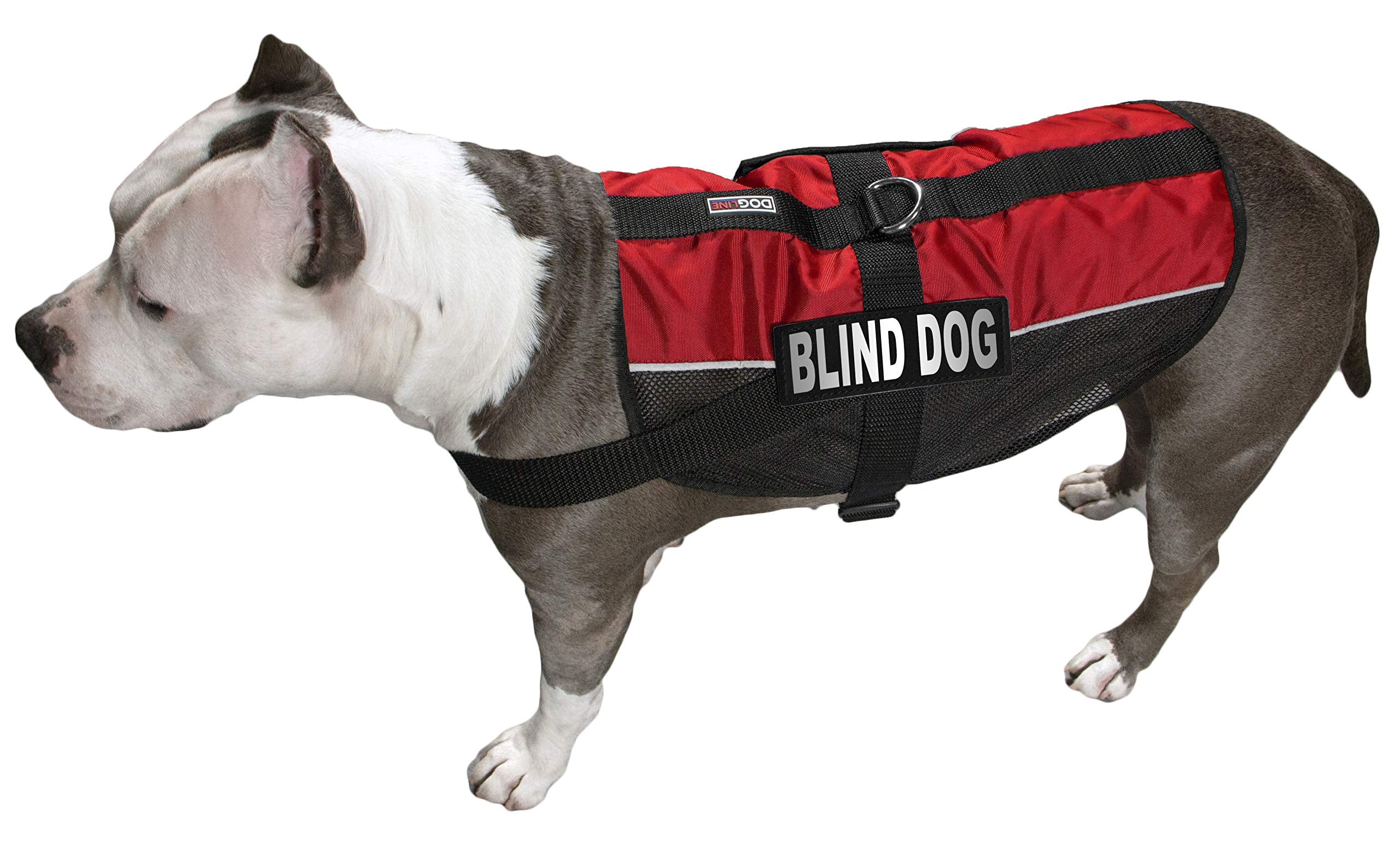 Dogline Blind Dog Vest Patches – Removable Blind Dog Patch 2-Pack With Reflective Printed Letters For Support Dog Vest Harness Collar Or Leash Size B (1.5' X 4')