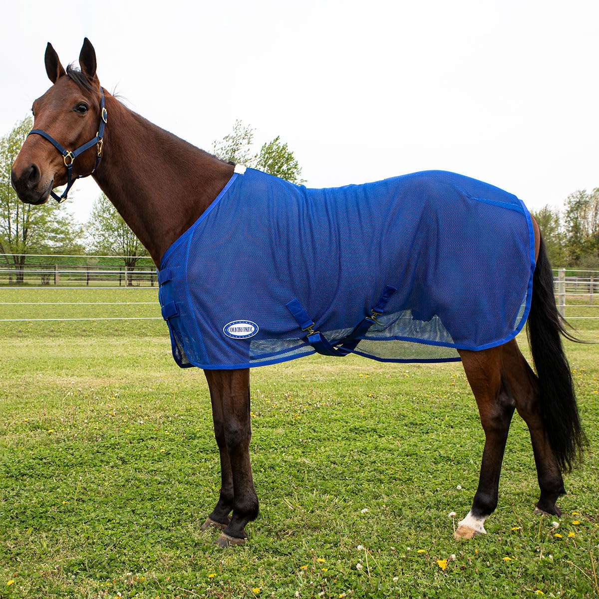 Country Pride Fitted Scrim Fly Sheet (Blue, X-Large 82-84)