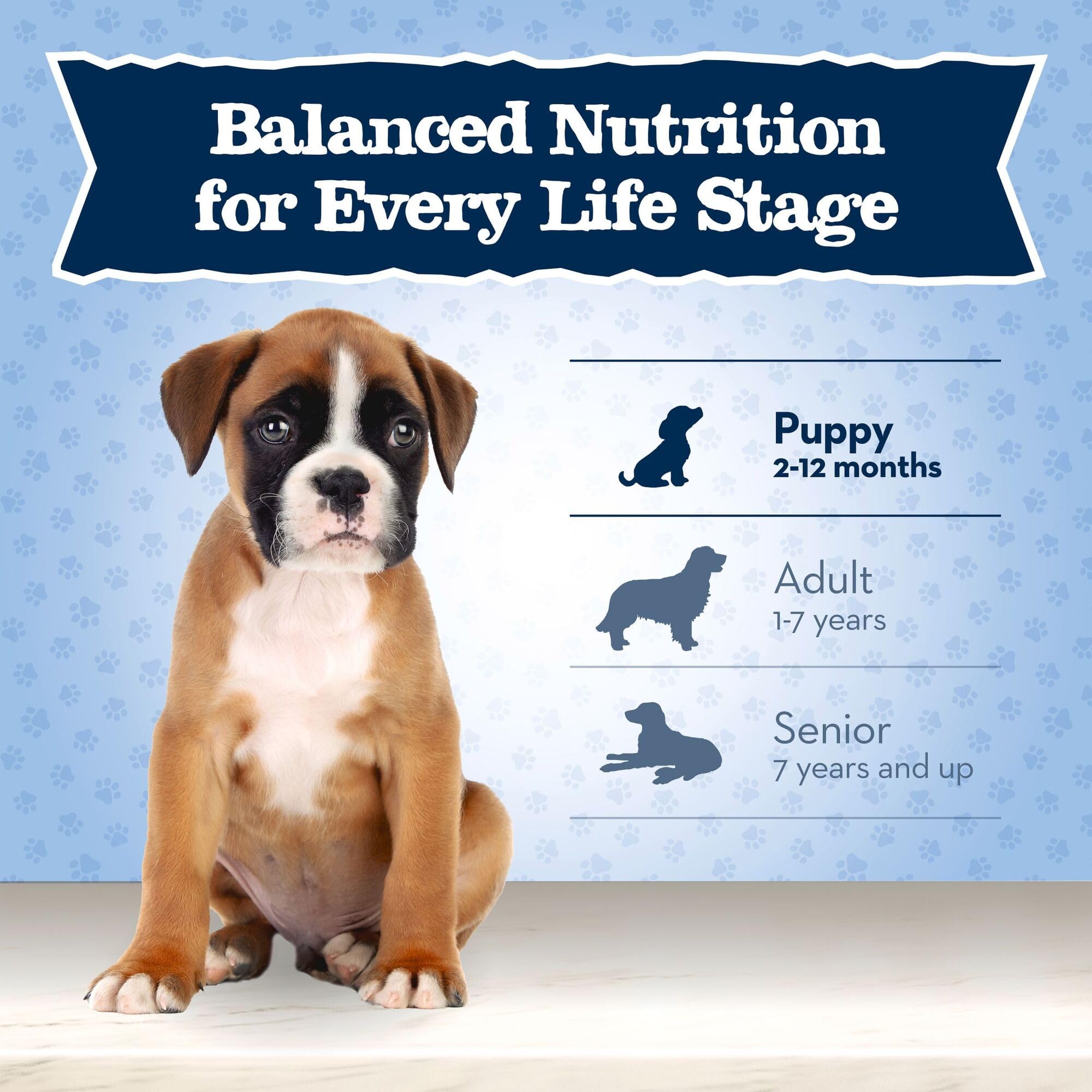 Blue Buffalo Baby BLUE Natural Large Breed Puppy Dry Dog Food, Healthy Growth Formula with DHA, Chicken and Brown Rice Recipe, 2