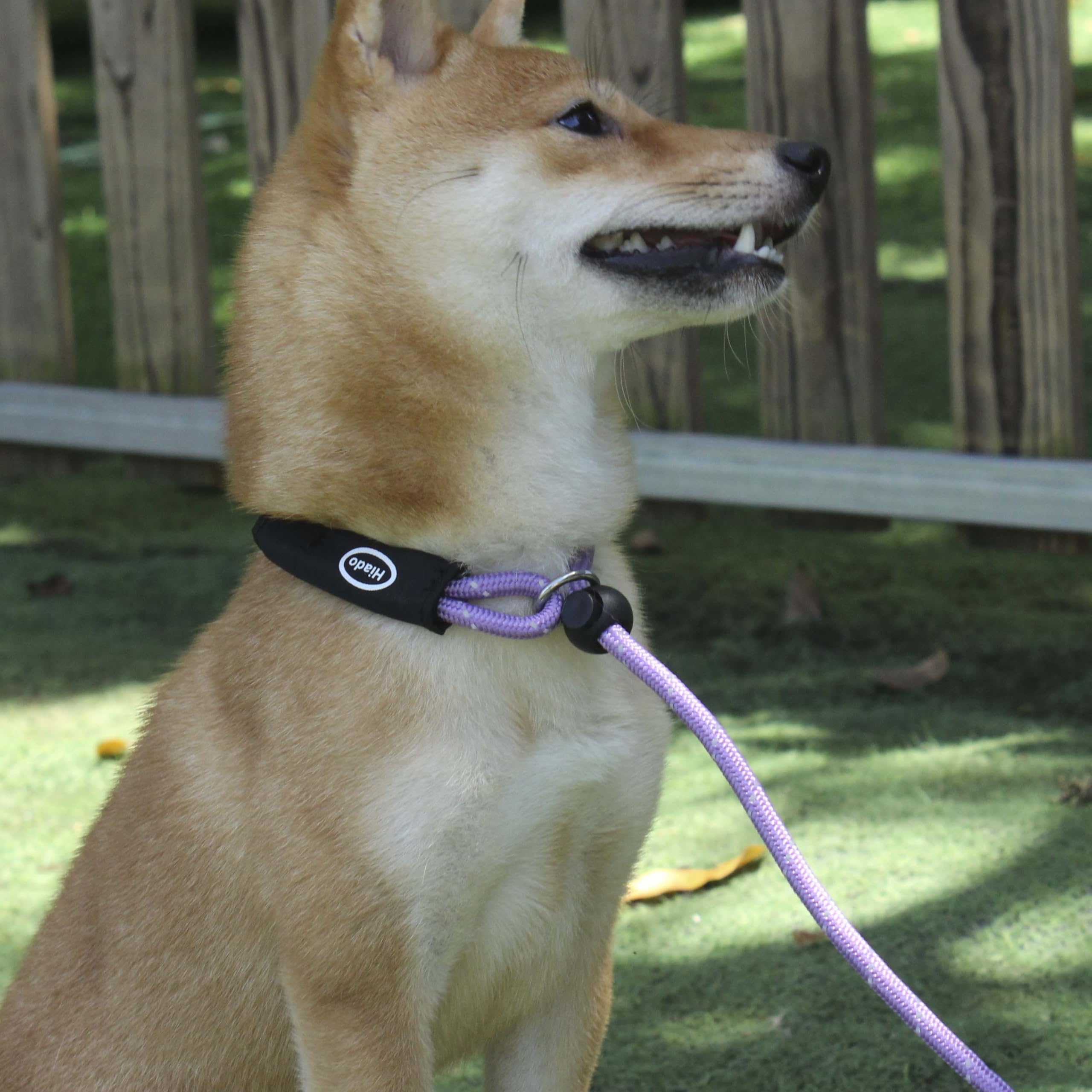 Hiado Slip Lead Dog Leash Reflective Soft With Stopper Loop Rope Training No Pull For Small Medium Dogs 6Ft Lavender