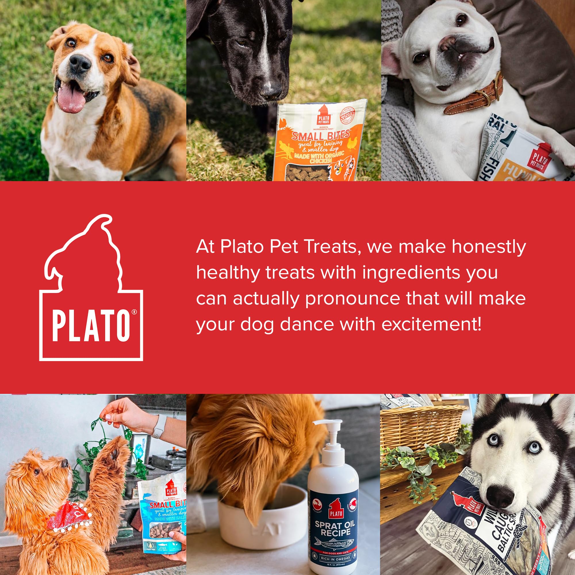 PLATO Thinkers Chicken 10oz