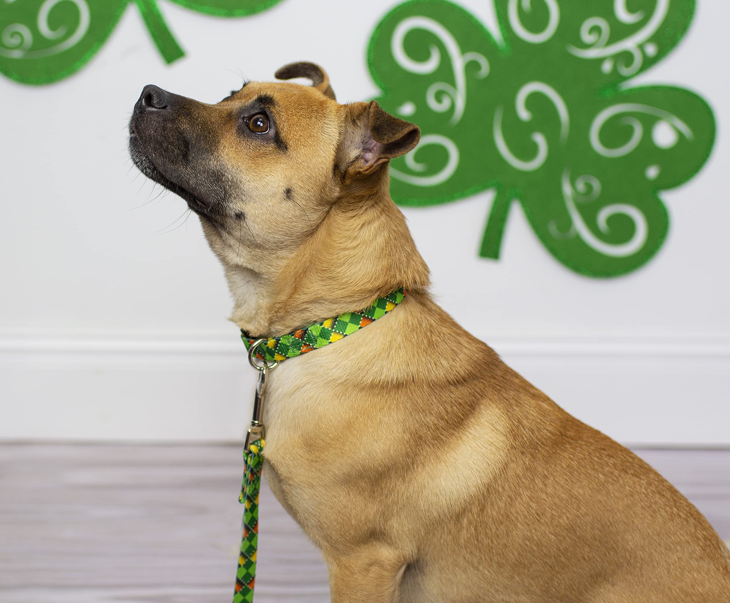 Country Brook Petz - Premium Limerick Argyle Dog Collar - Irish Pride Collection Featuring Lucky Designs (5/8 Inch, Small)