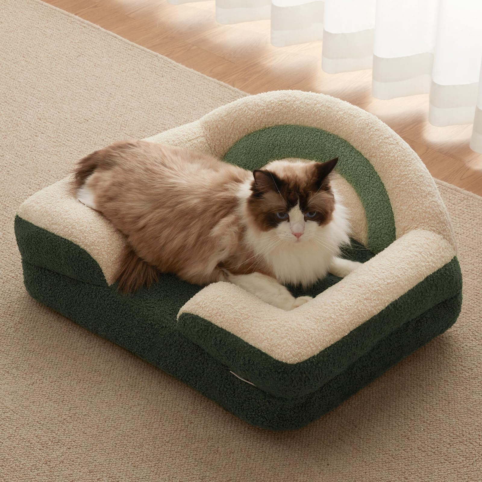 Blissful Diary Foam Cat Bed Small Size, Washable Pet Bed For Cats And Dogs, Soft Teddy Plush With Rainbow Design (Green)
