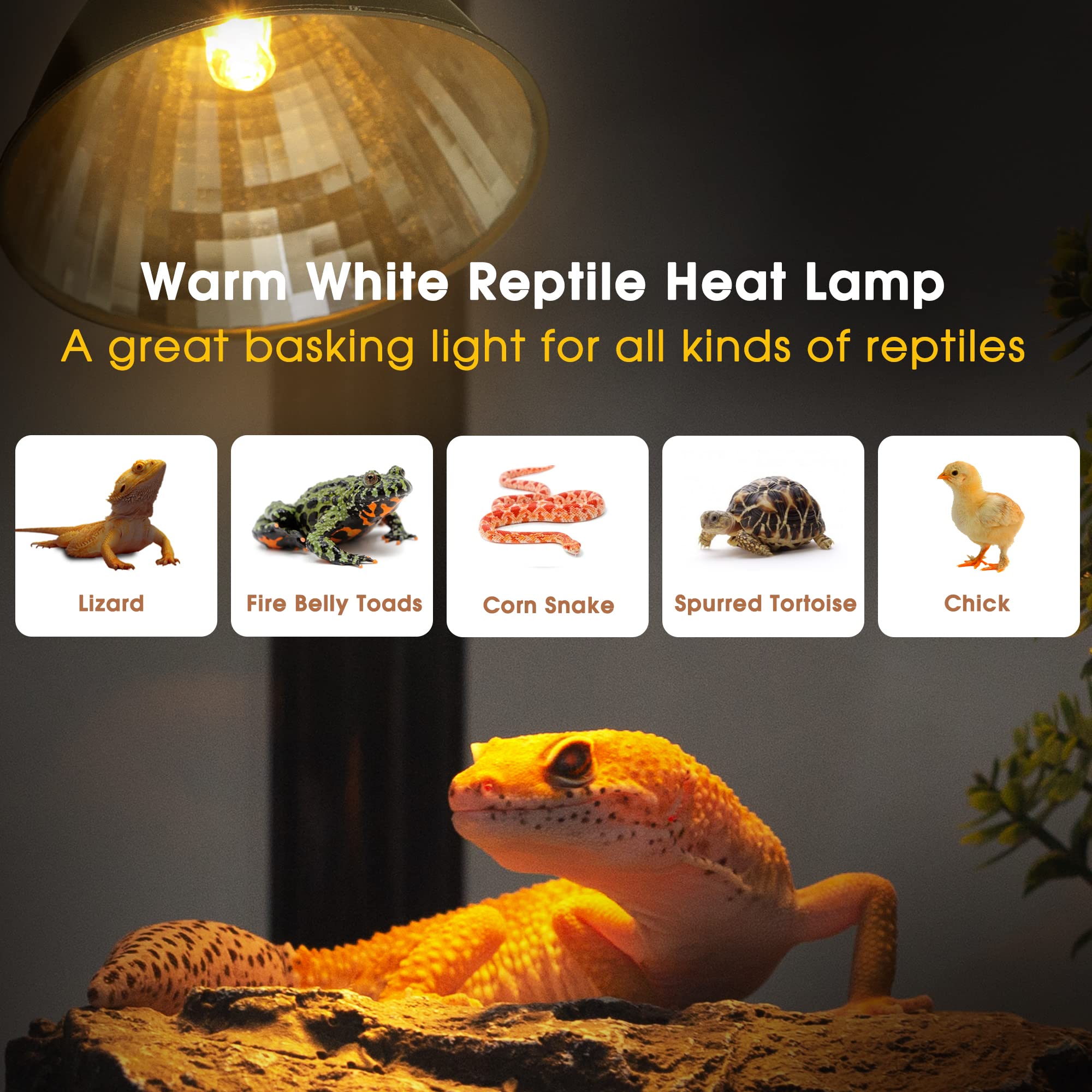 Reptile Heat Lamp, Briignite UVA Basking Light for Reptiles 50W, G9 Halogen Heat Bulb & Dome Reptile Light Fixture, Aluminum Ref