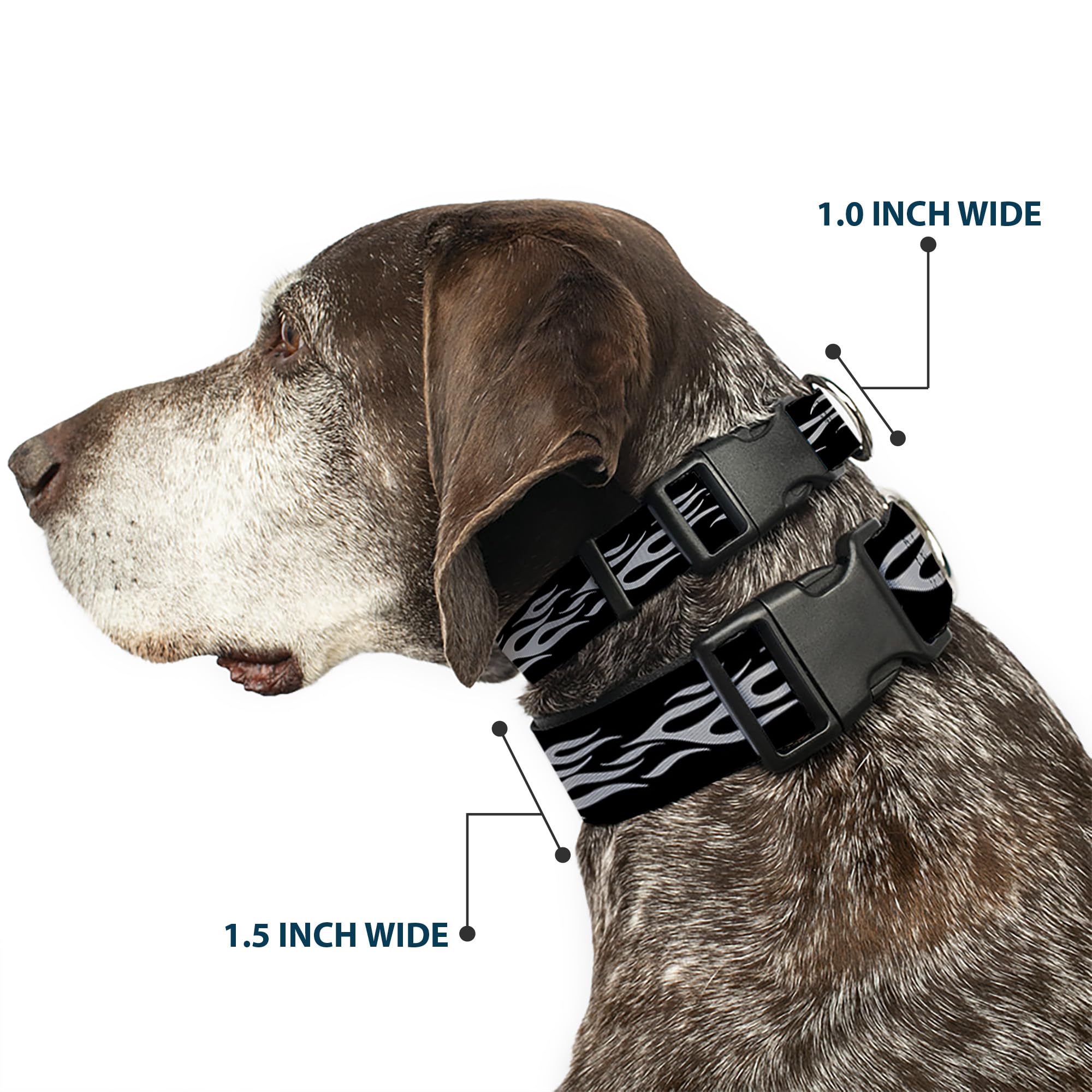 Buckle-Down Plastic Clip Collar - Flame Silver - 1' Wide - Fits 11-17' Neck - Medium