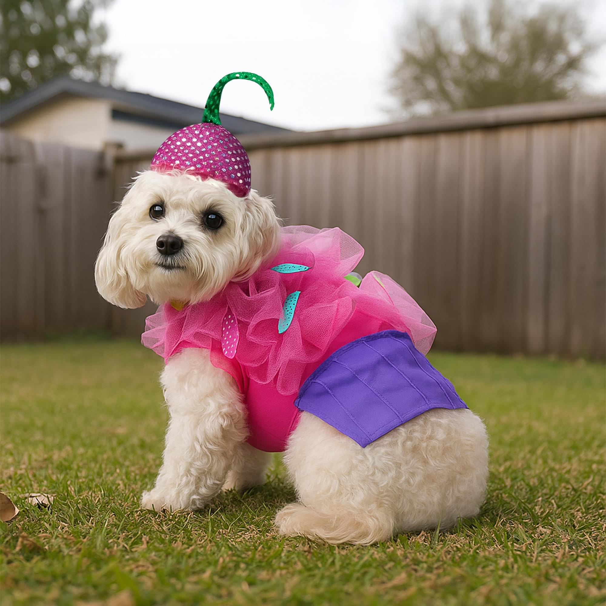 Cupcake Dog Pet Costume | Large