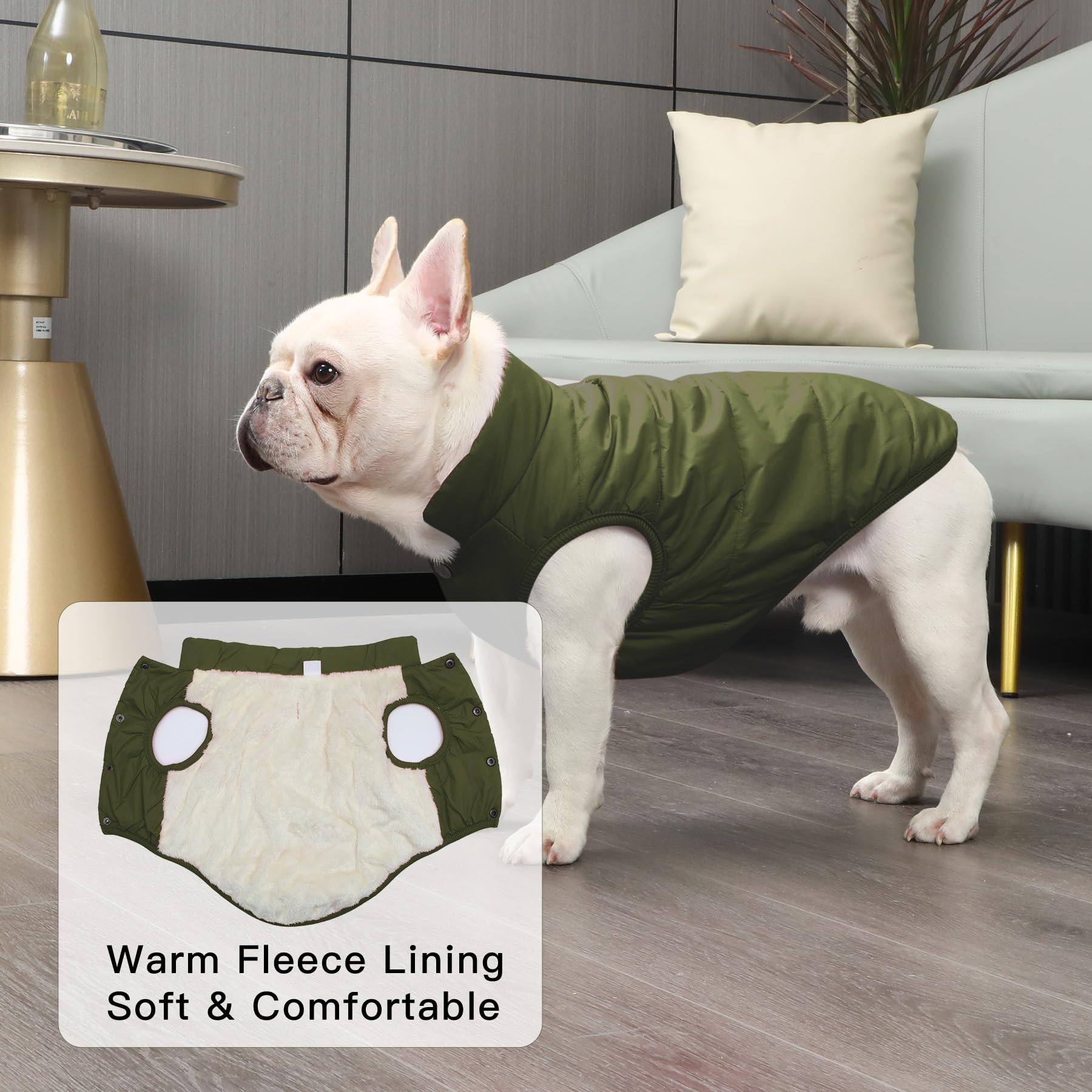 Joydaog 2 Layers Fleece Lined Warm Dog Jacket For Puppy Winter Cold Weather,Soft Windproof Small Dog Coat,Green Xs
