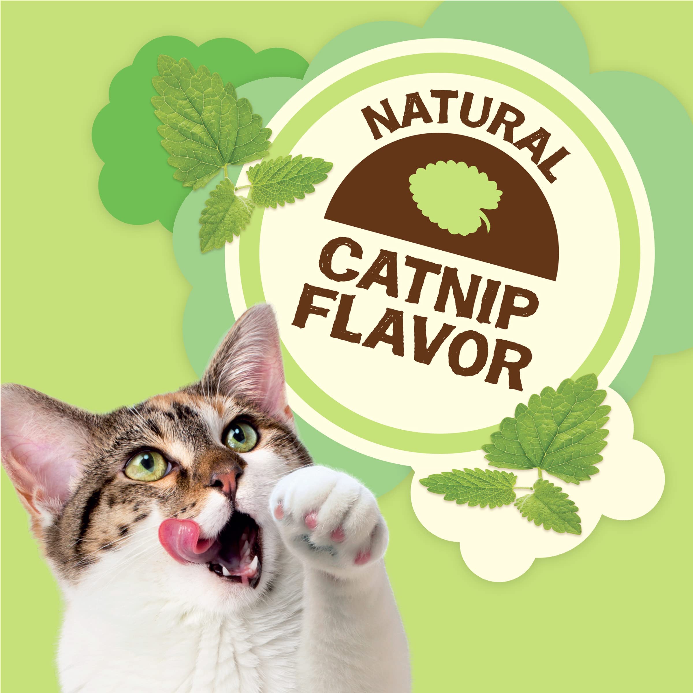 Purina Friskies Made in USA Facilities, Natural Cat Treats, Party Mix Natural Yums Catnip Flavor - 20 Ounce (Pack of 1)
