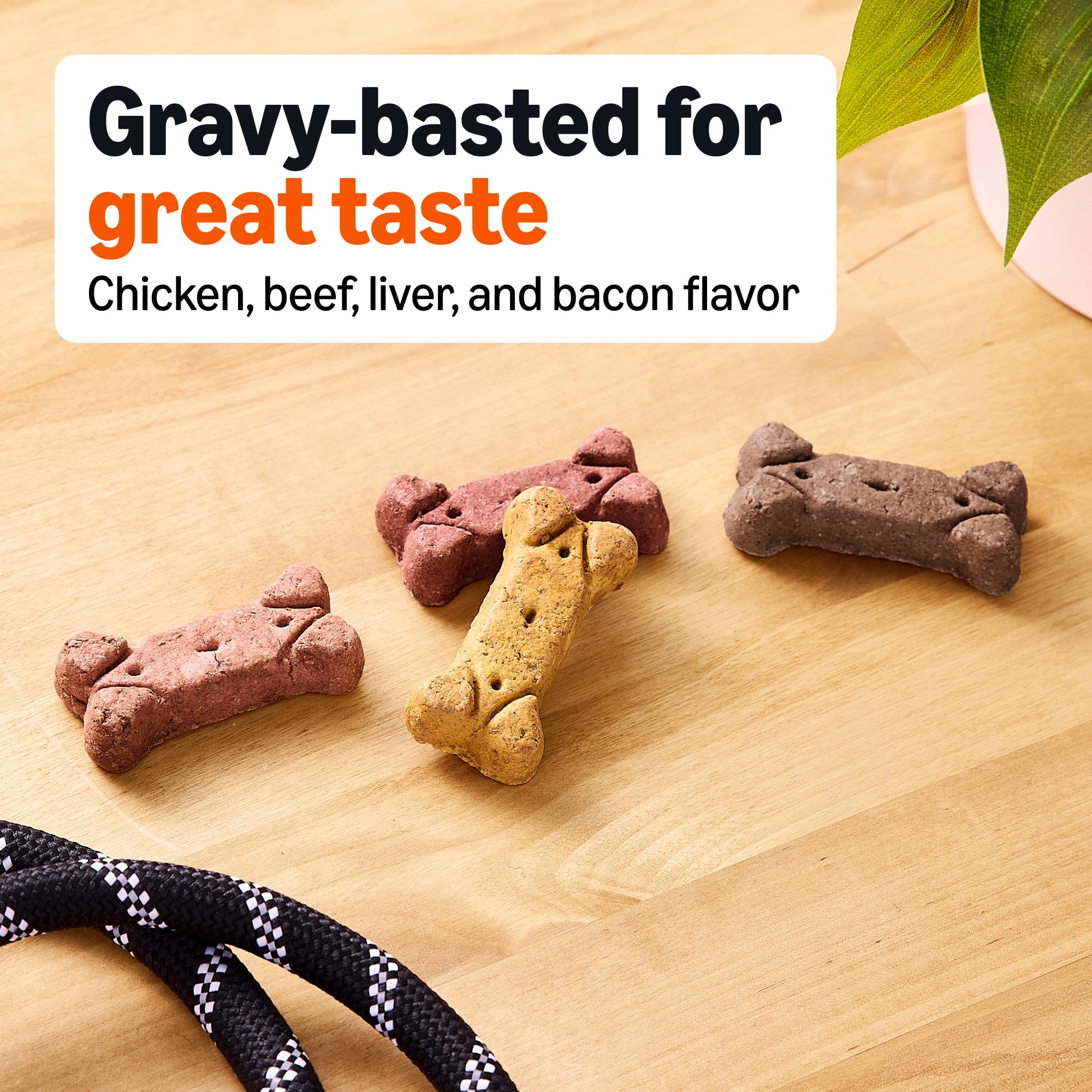 Amazon Basics Crunchy Dog Biscuits, Gravy Basted Flavor, 5 lb Box