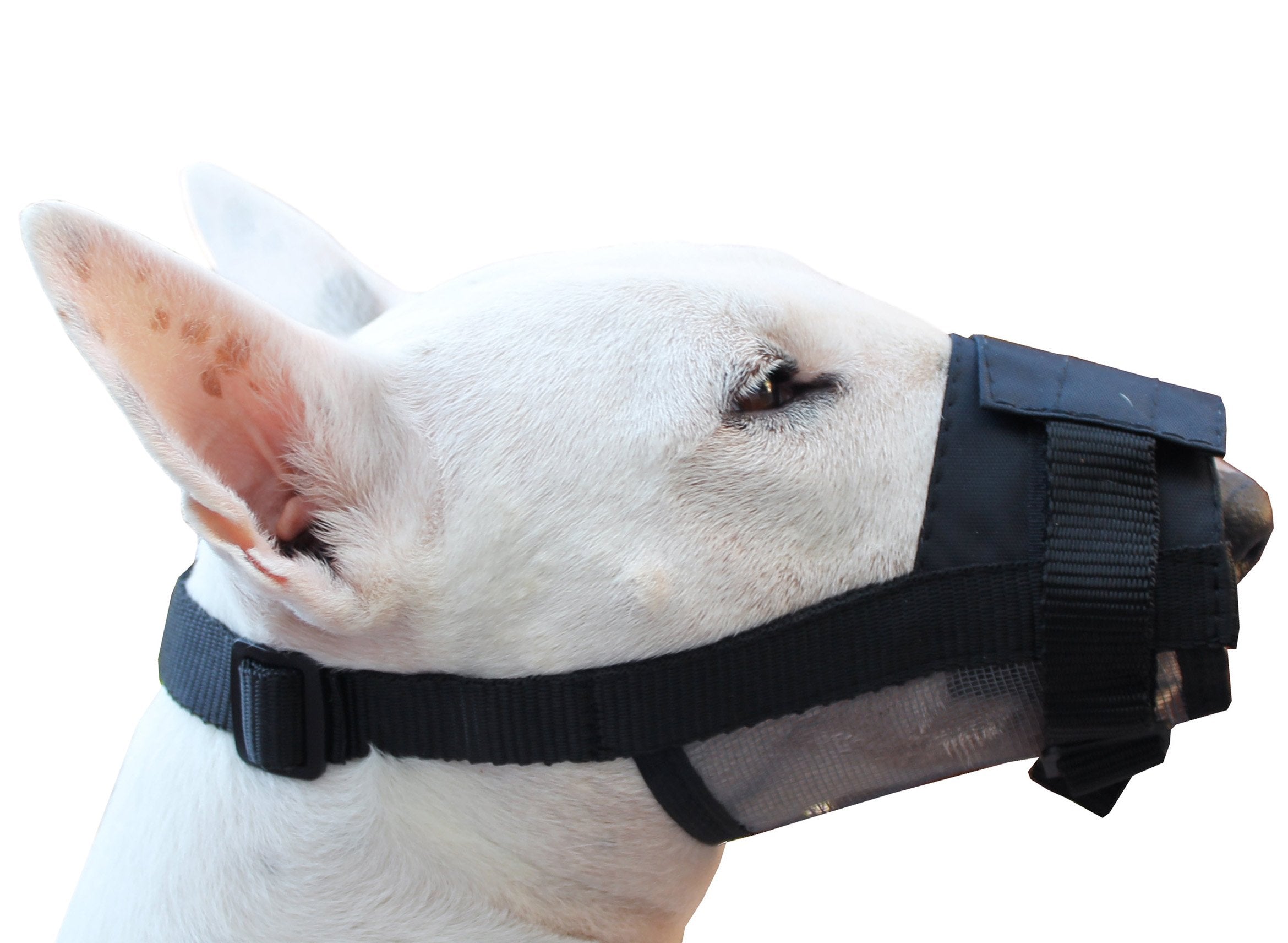 Adjustable Nylon Dog Grooming Muzzle (Small: 5.5'-7.5' Snout)