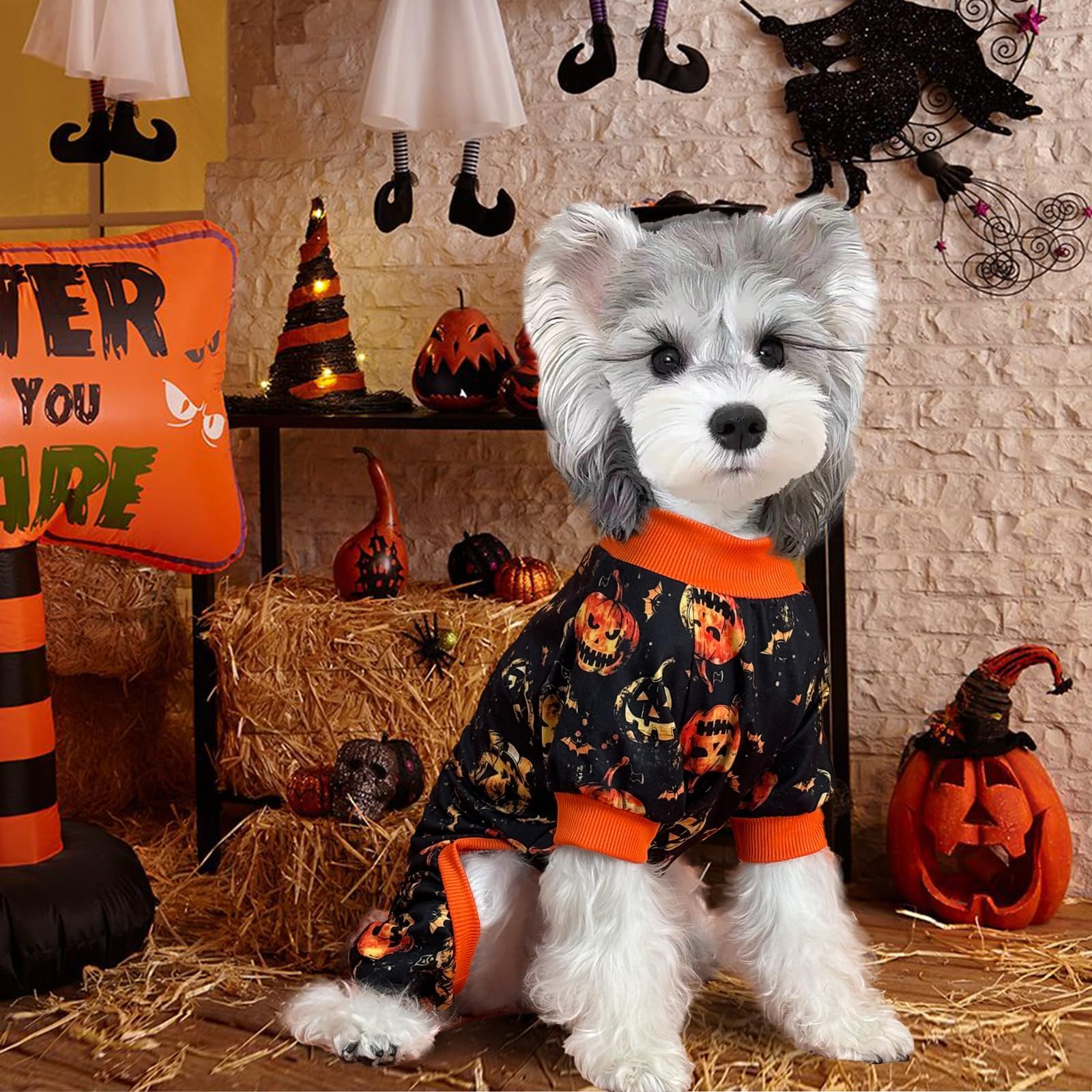 Xpudac Halloween Dog Pajamas Costume For Small Medium Dogs Pumpkin Clothes Soft Puppy Pjs Pet Outfit, Small