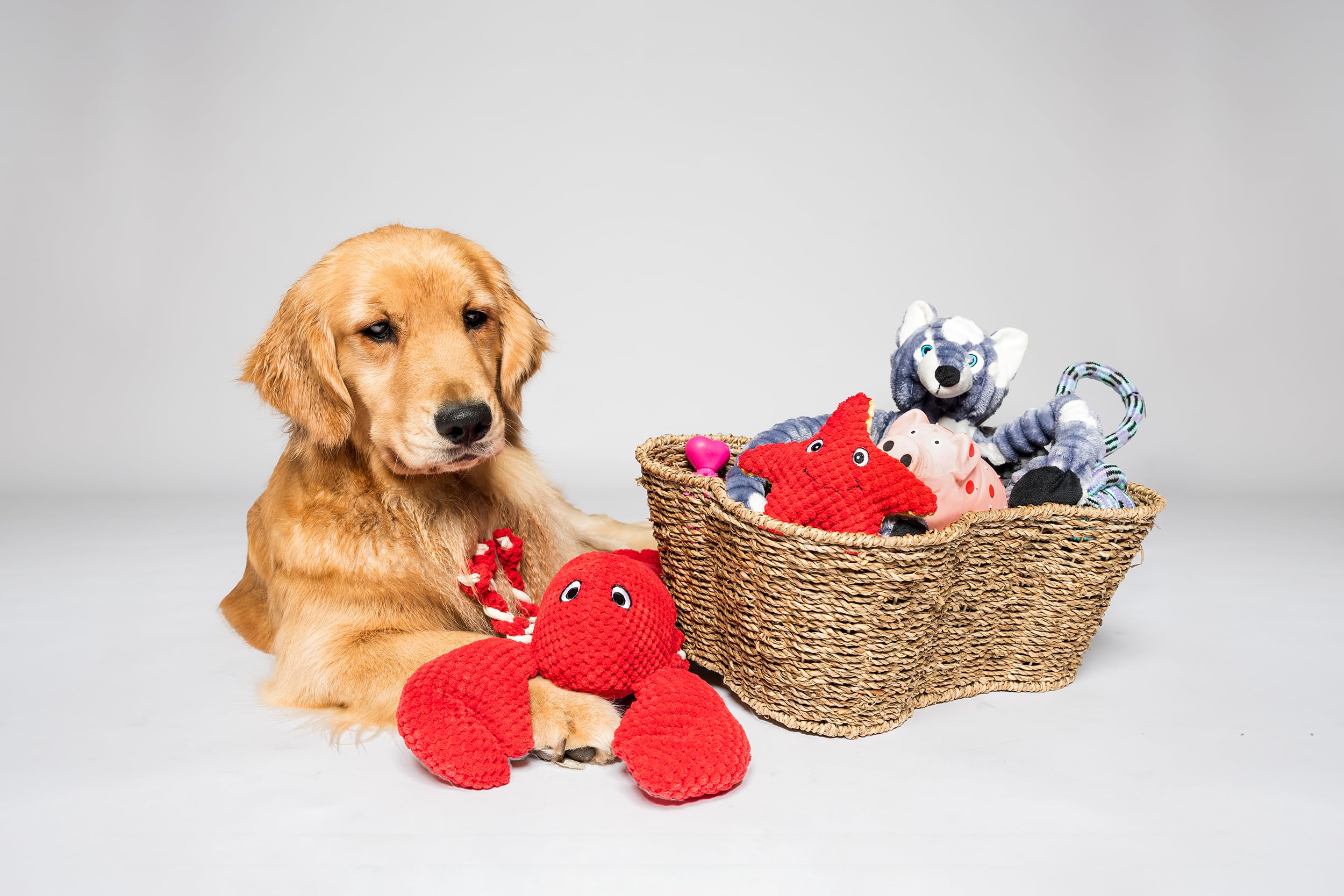OtterPets Bone Shape Seagrass Toy Bin - Handmade Storage Basket for Dogs, All Breed Sizes